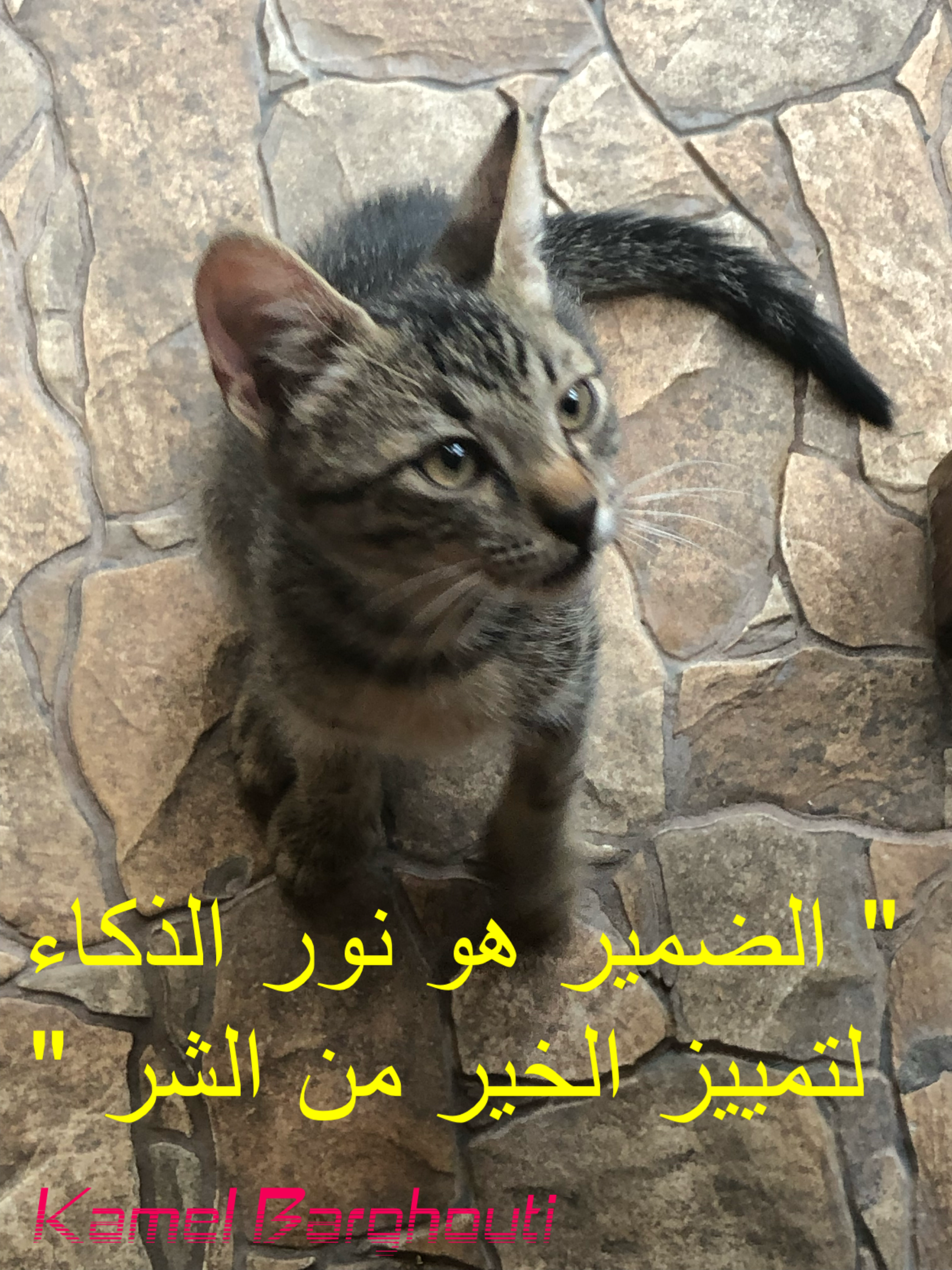 Beautiful Talk – quote 196