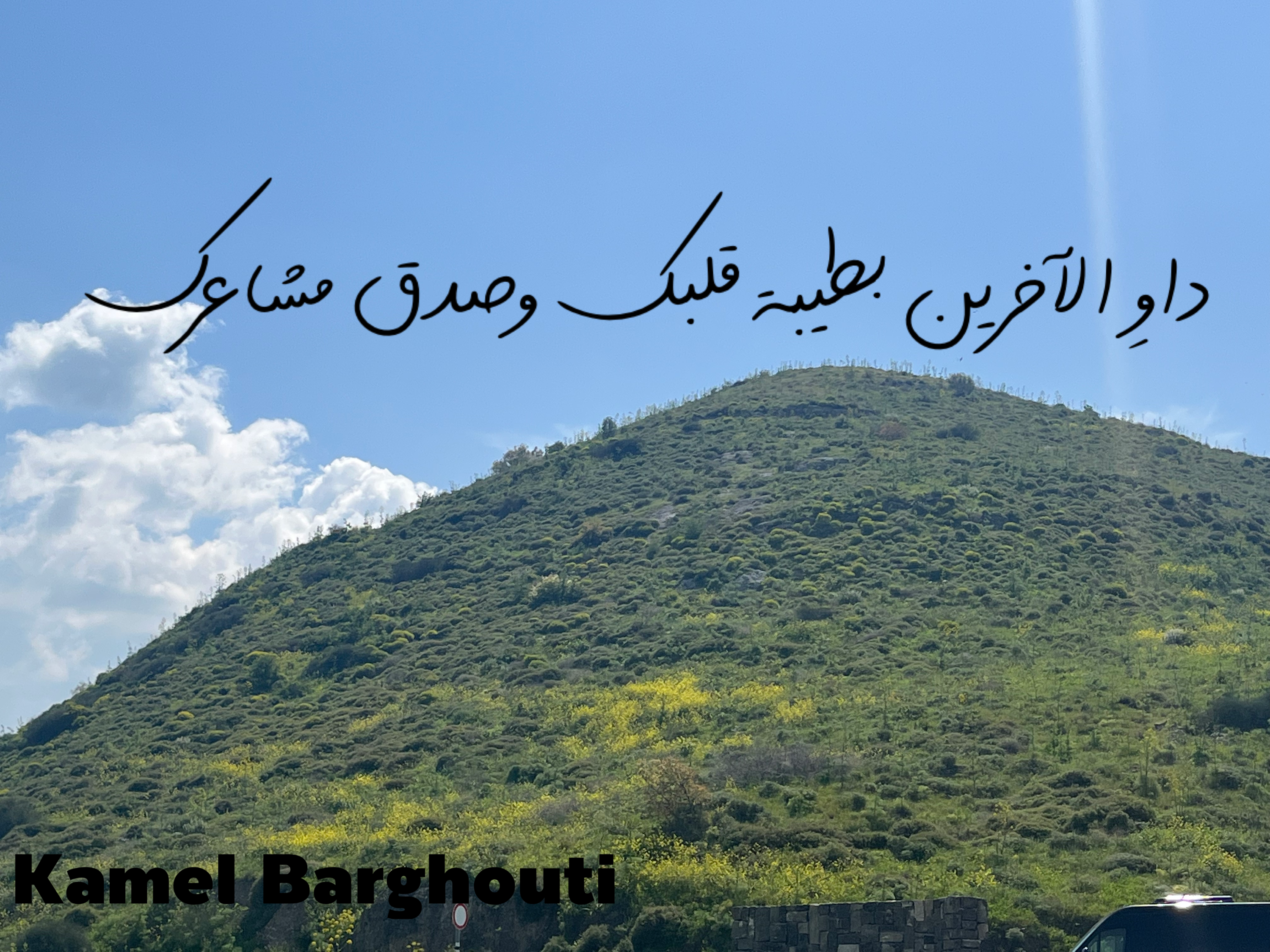 Beautiful Talk – quote 187