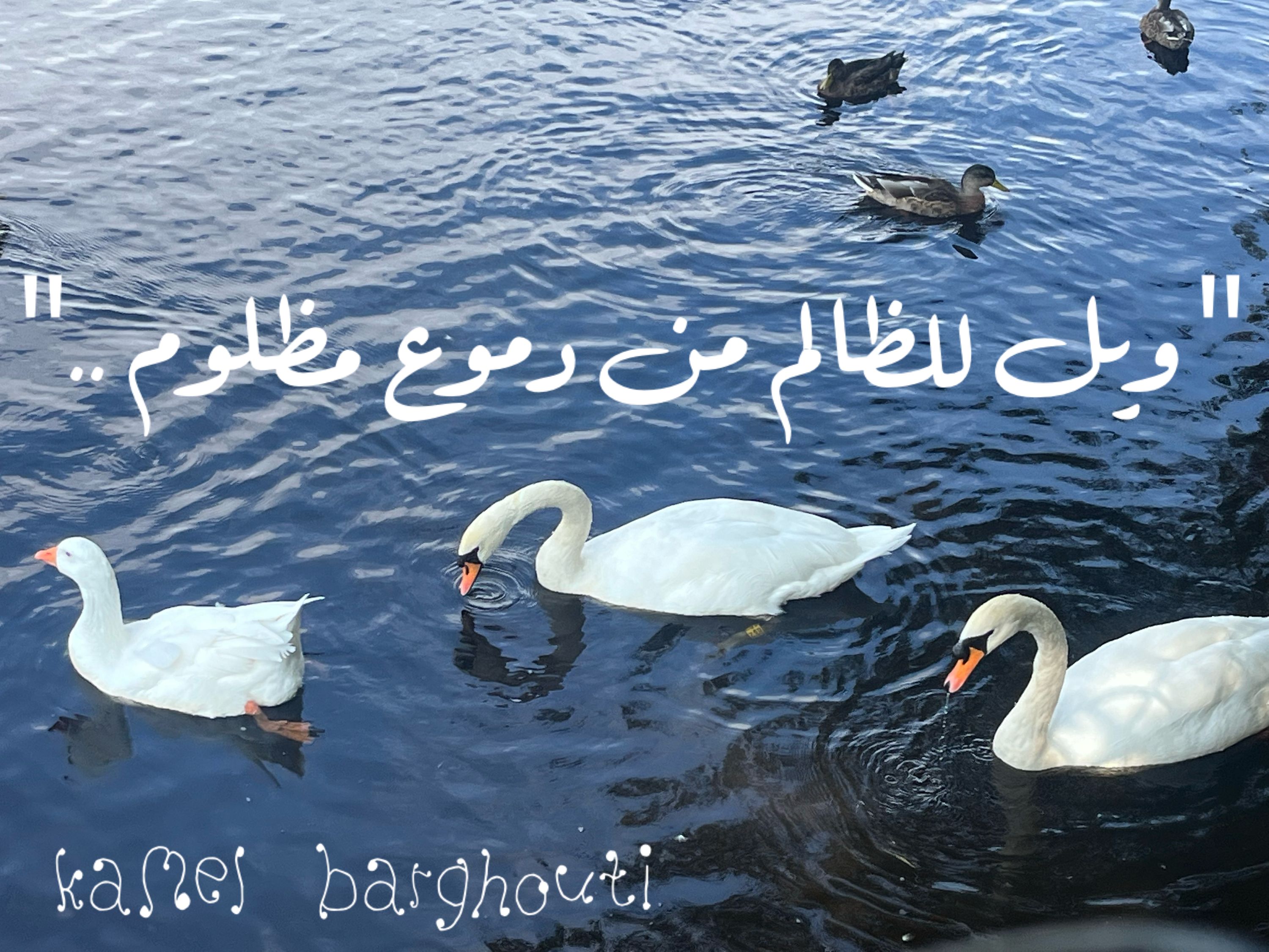 Beautiful Talk – quote 180