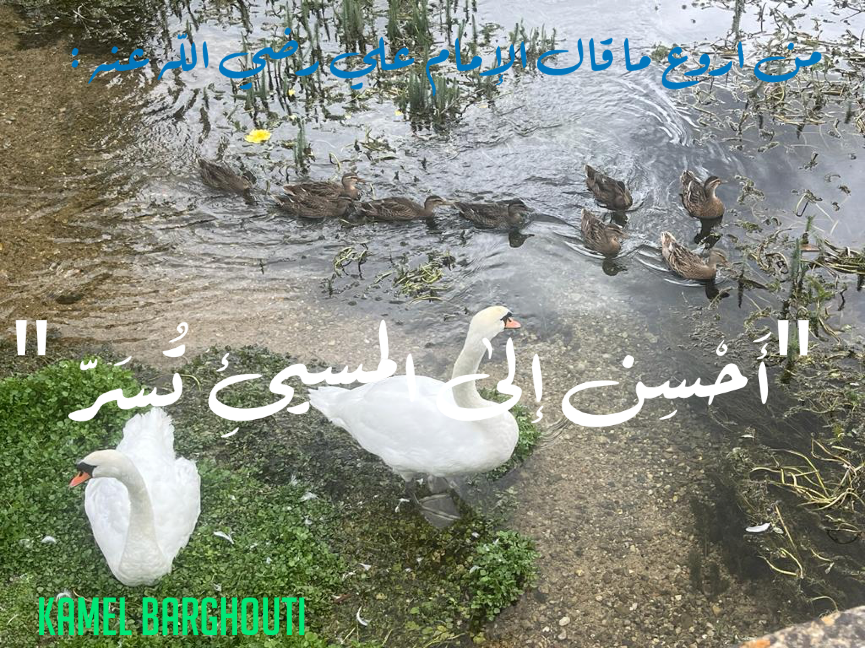 Beautiful Talk – quote 174