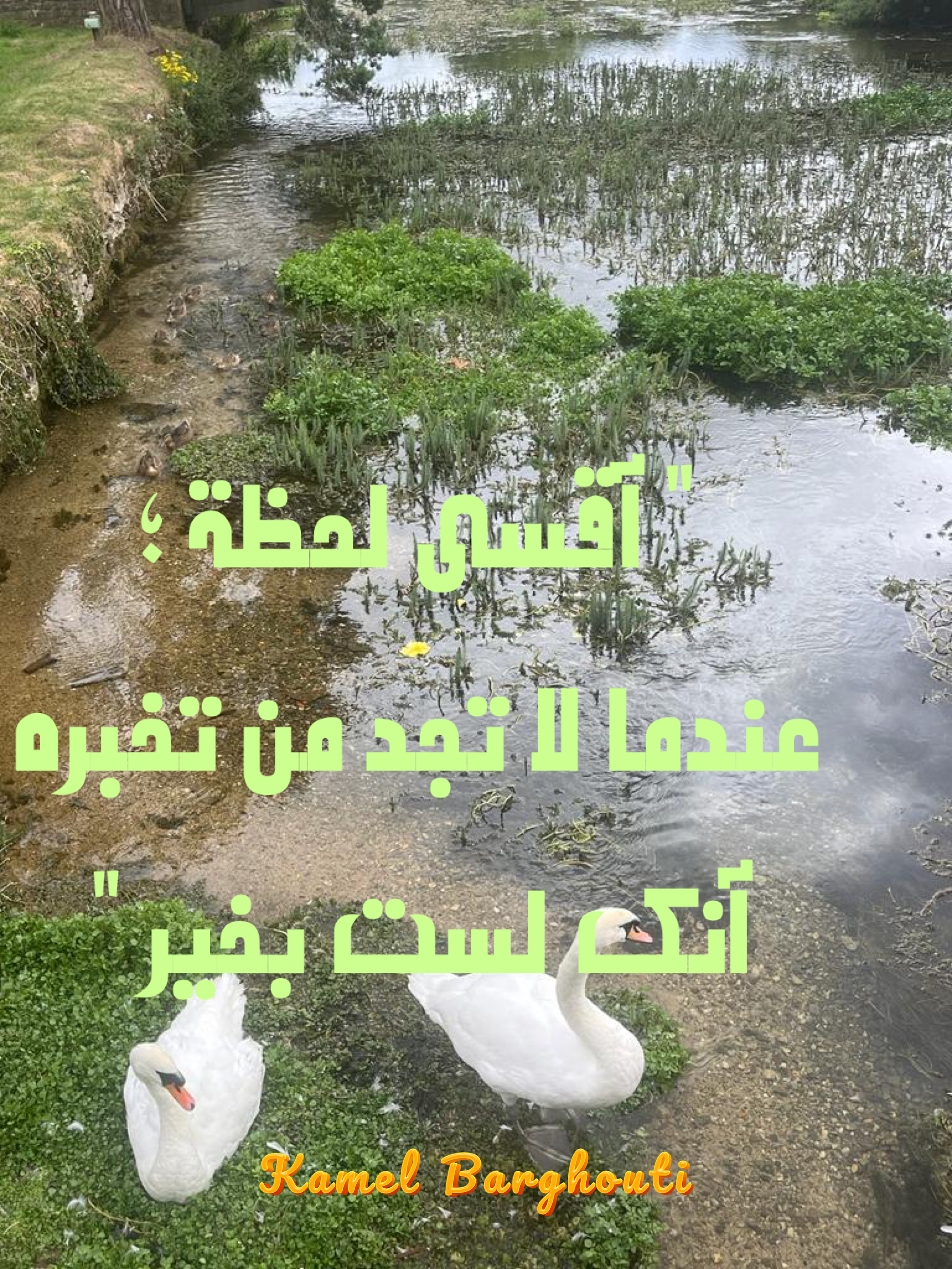 Beautiful Talk – quote 173