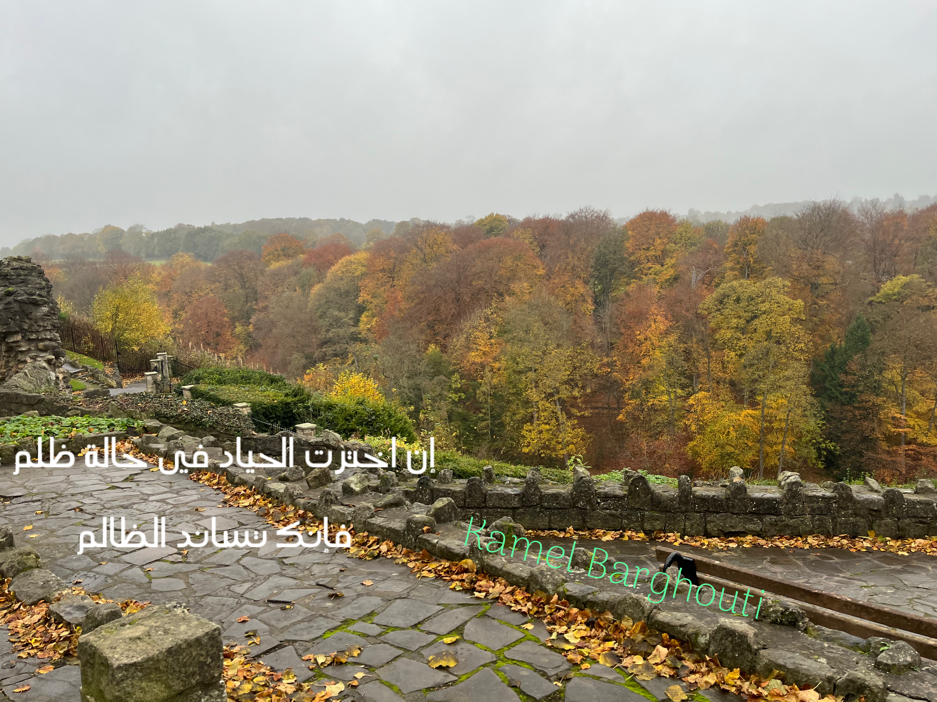 Beautiful Talk – quote 134