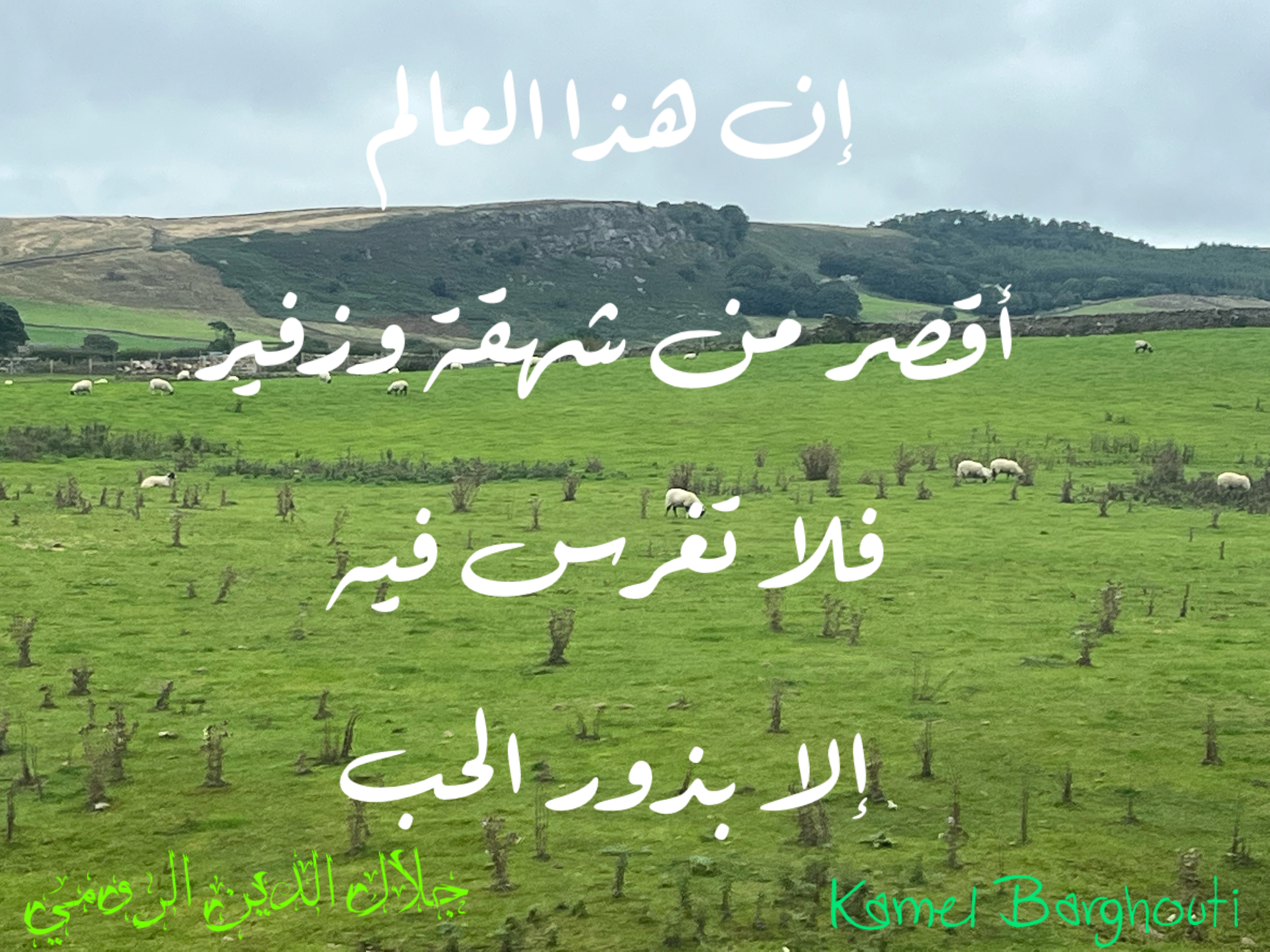 Beautiful Talk – quote 113