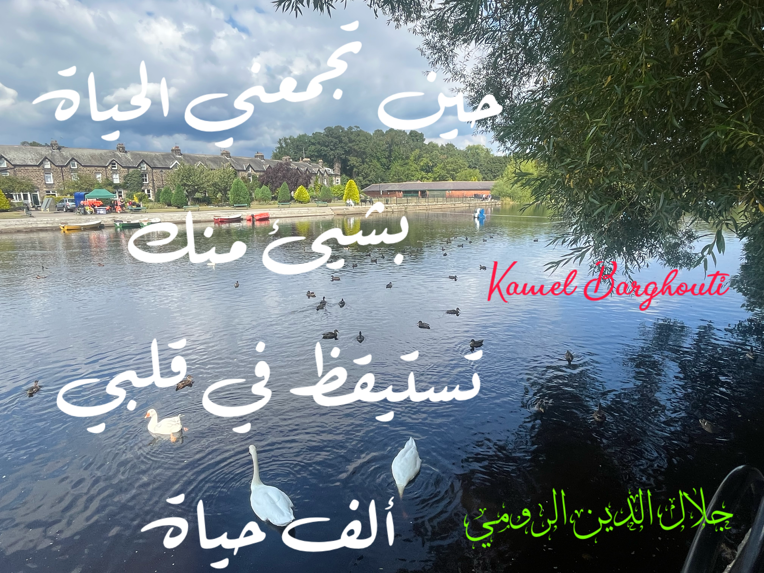 Beautiful Talk – quote 111
