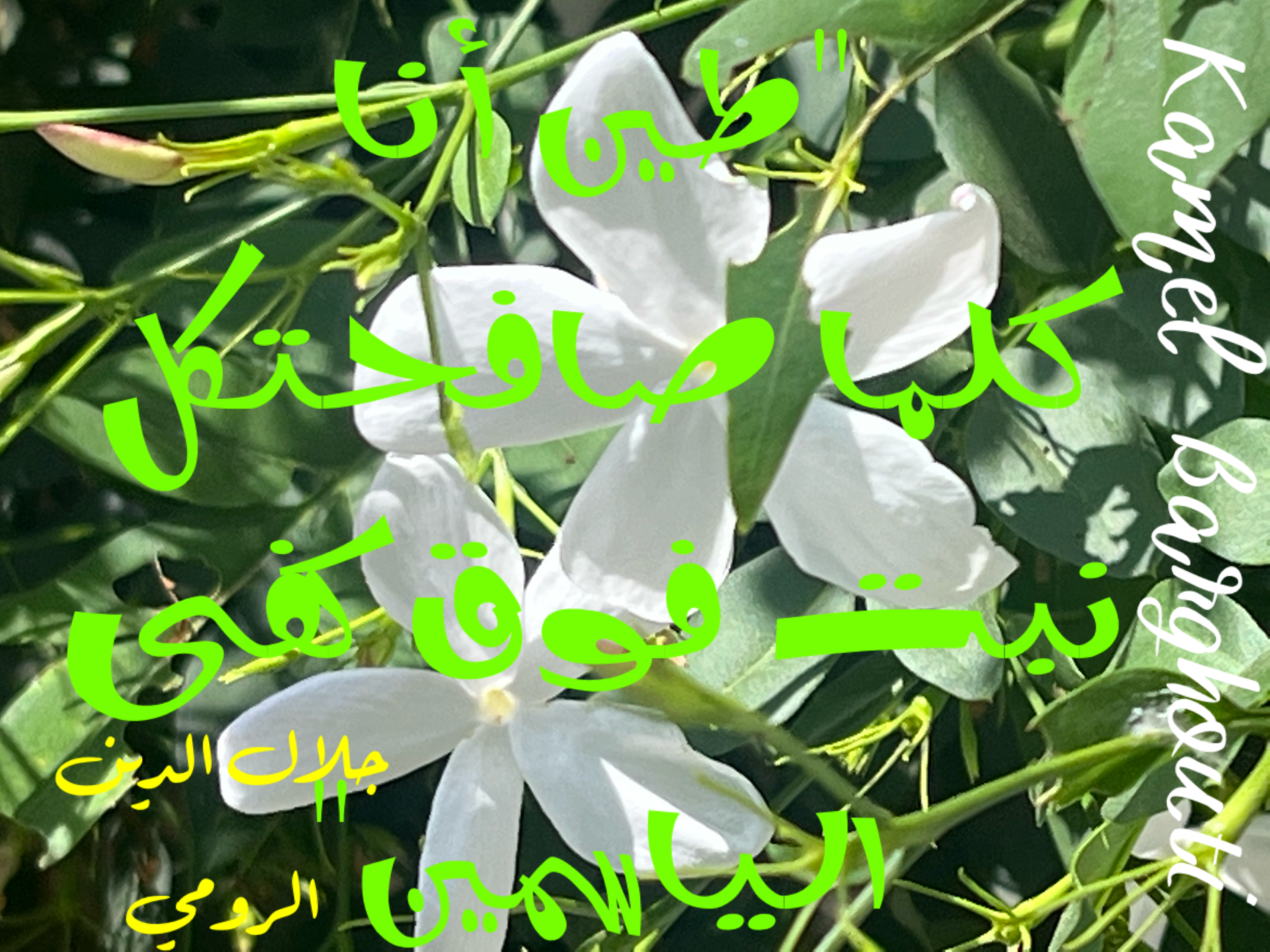 Beautiful Talk – quote 82