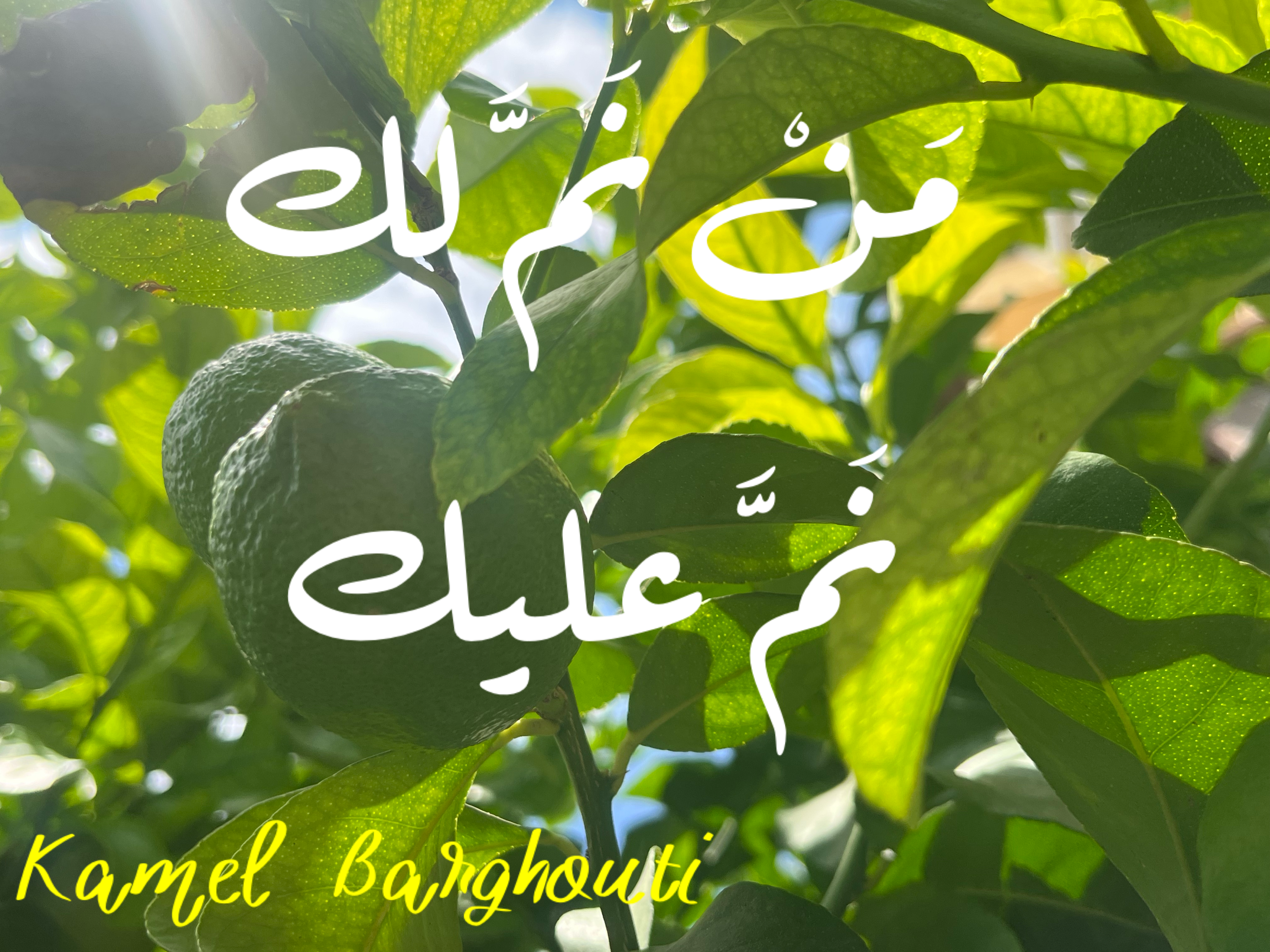 Beautiful Talk – quote 72