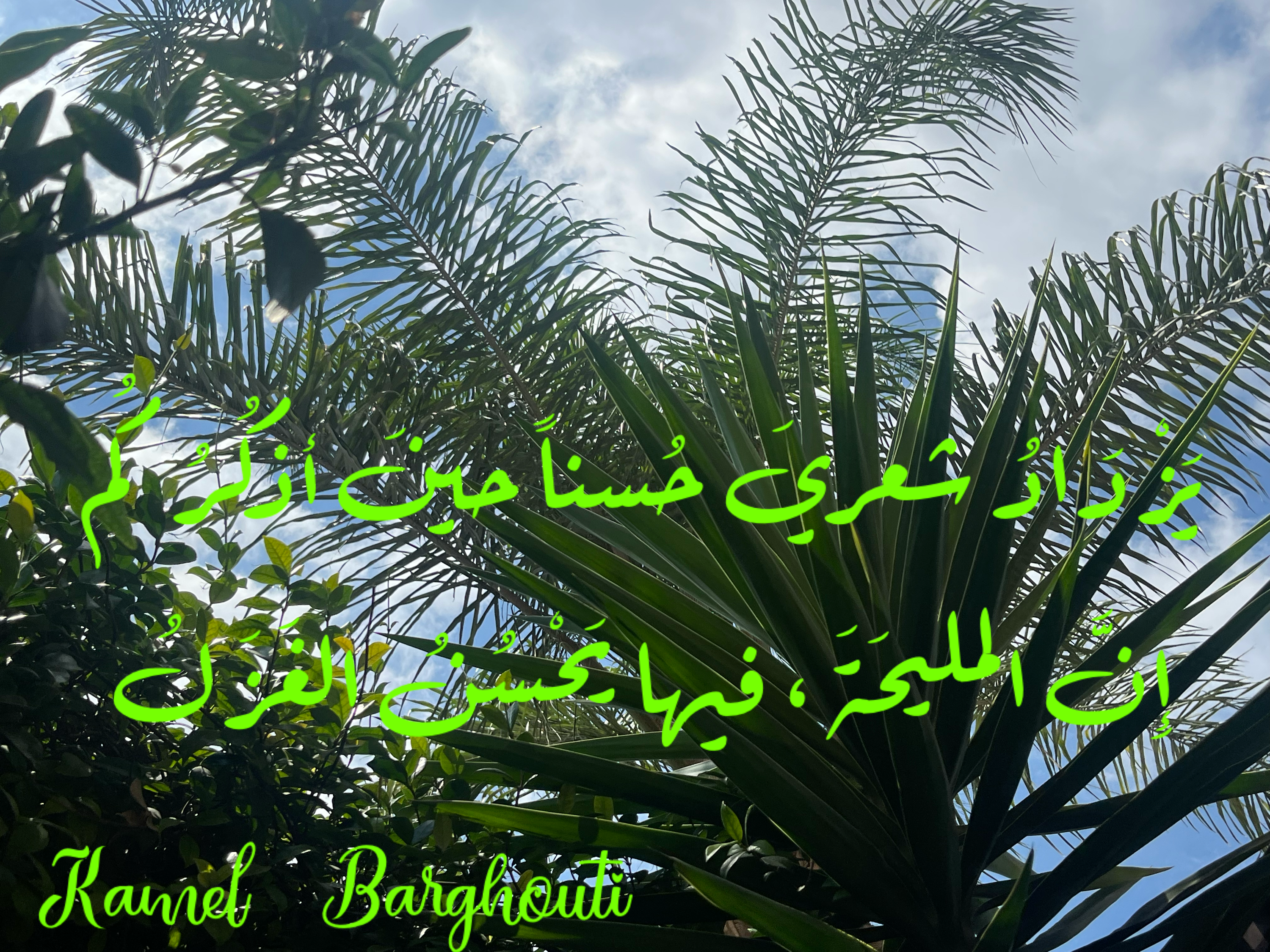 Beautiful Talk – quote 69