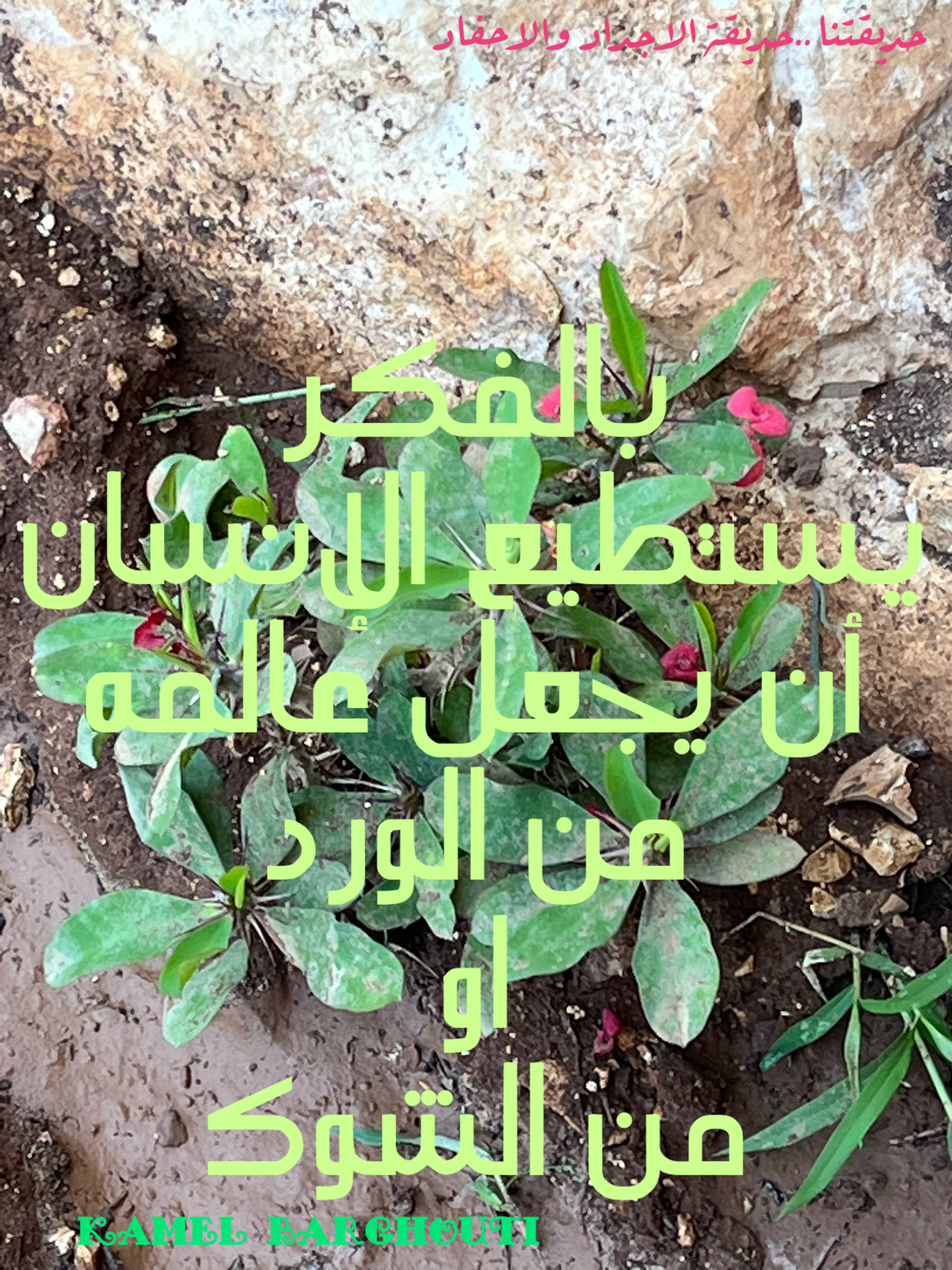 Beautiful Talk – quote 68