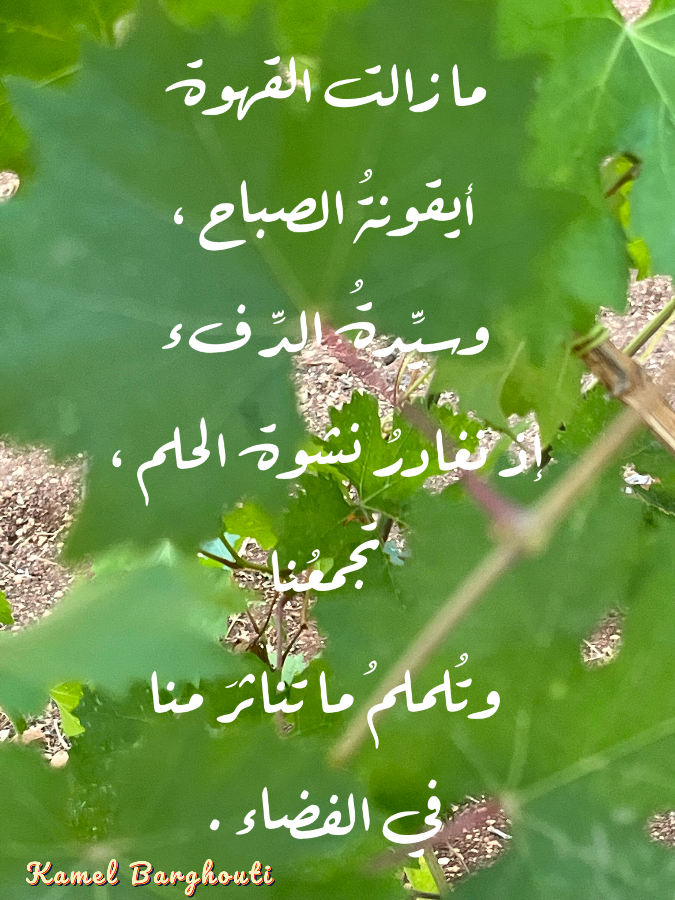 Beautiful Talk – quote 65