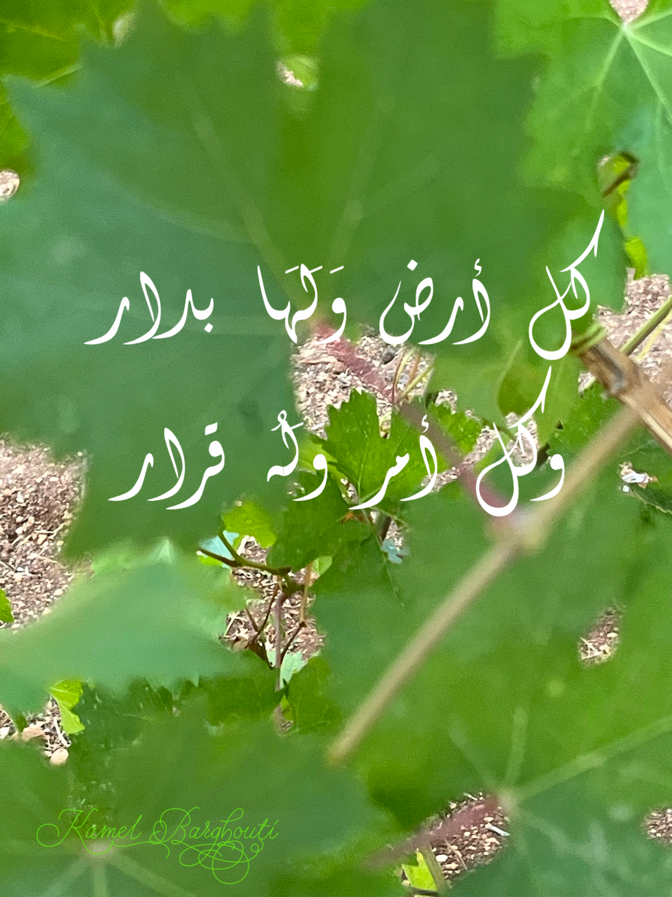 Beautiful Talk – quote 49