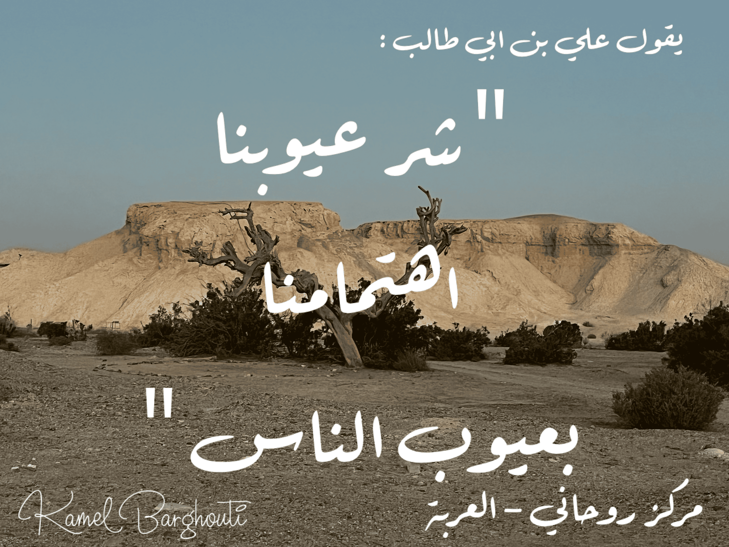 قيم إنسانية – اقتباس 262
