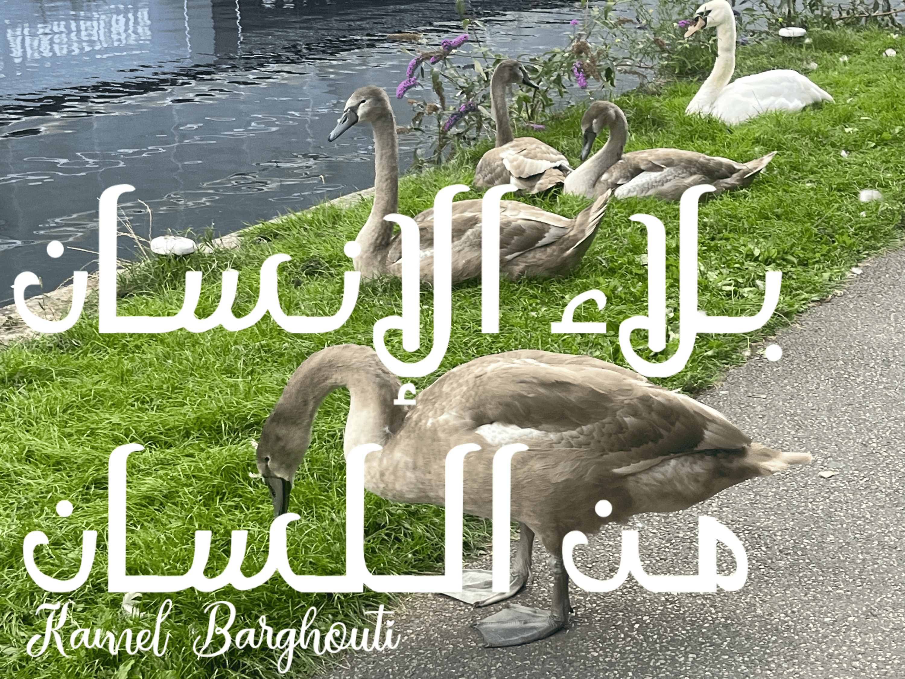 قيم إنسانية – اقتباس 186