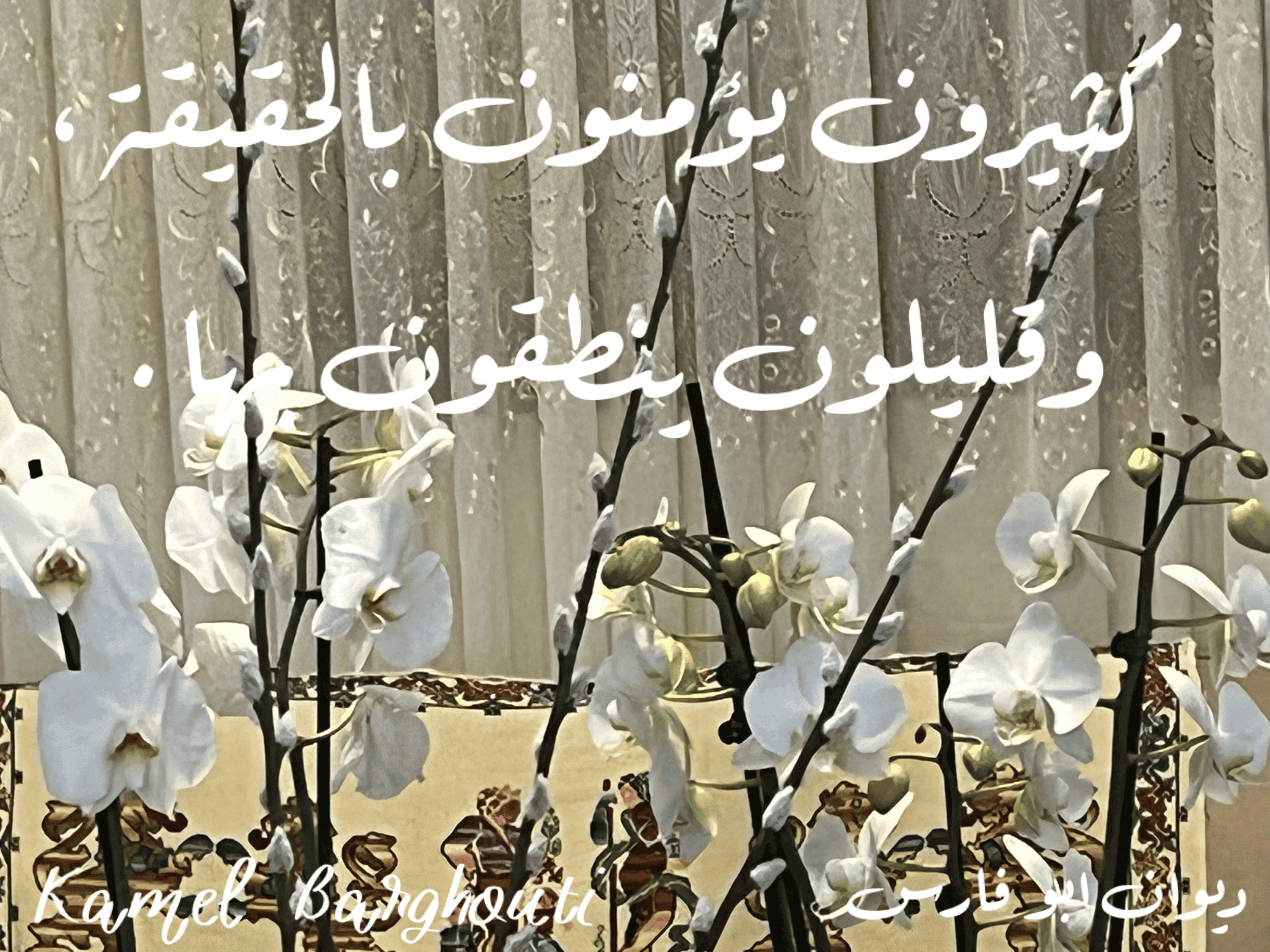قيم إنسانية – اقتباس 126