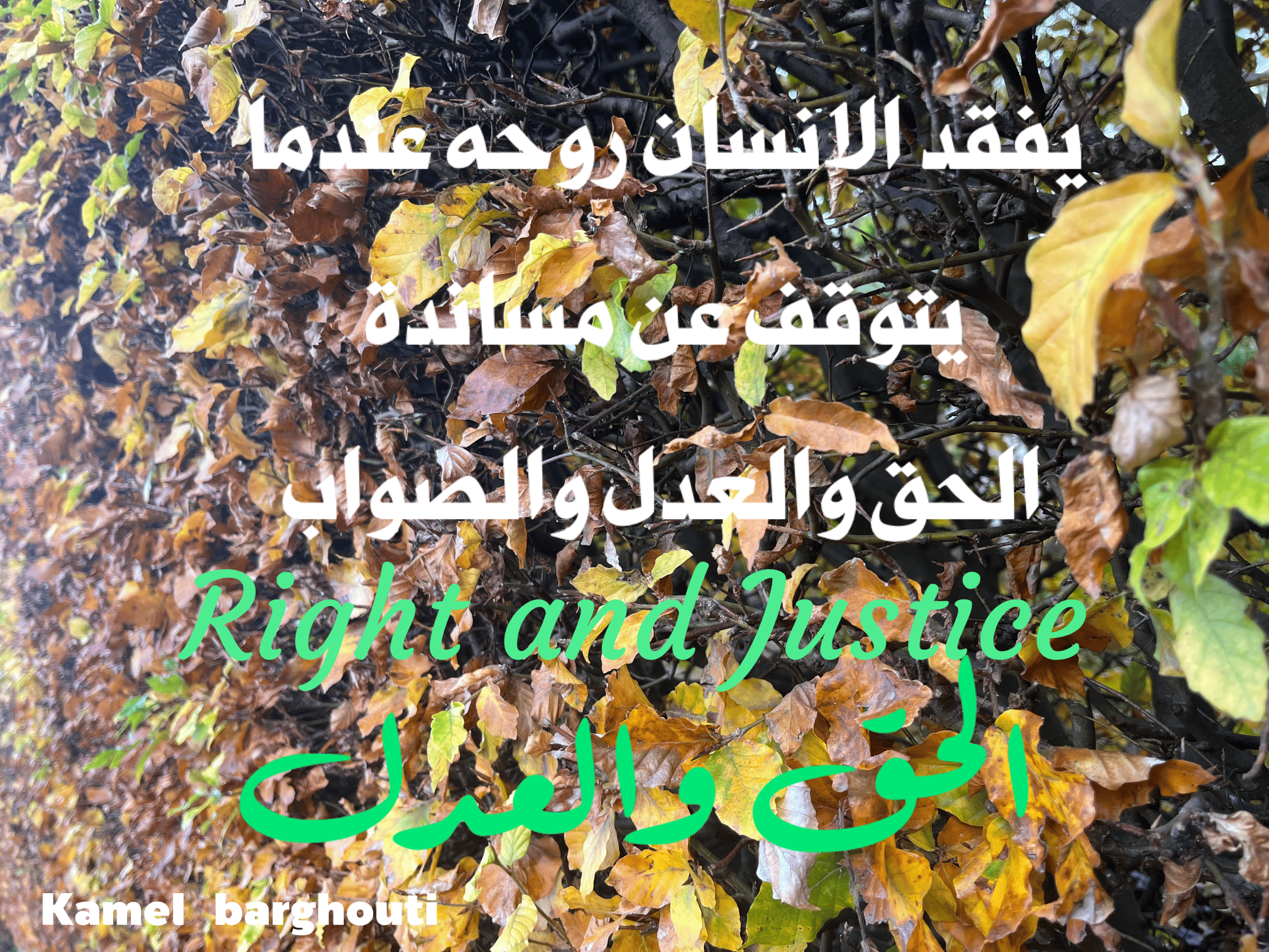 قيم إنسانية – اقتباس 121