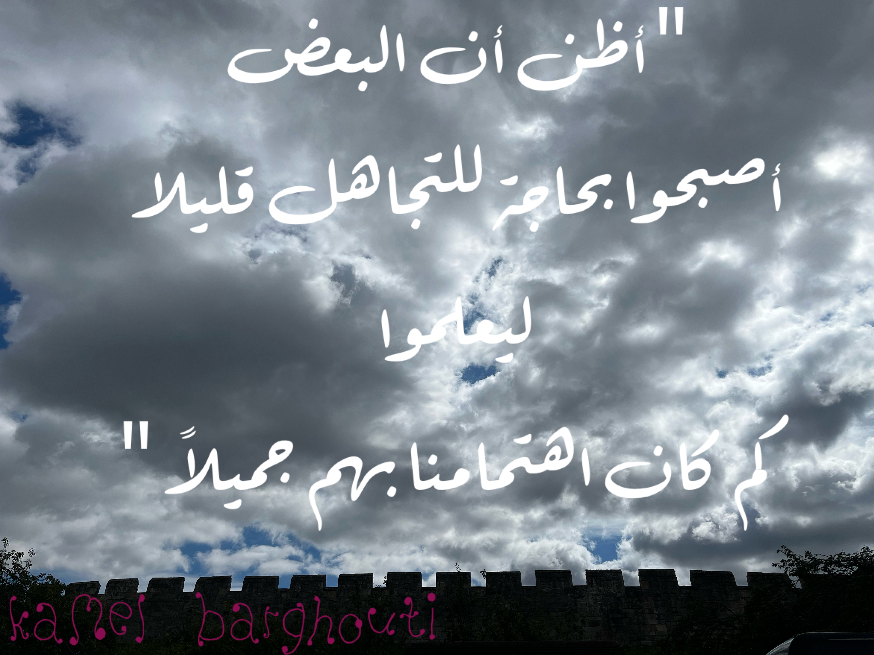 قيم إنسانية – اقتباس 26
