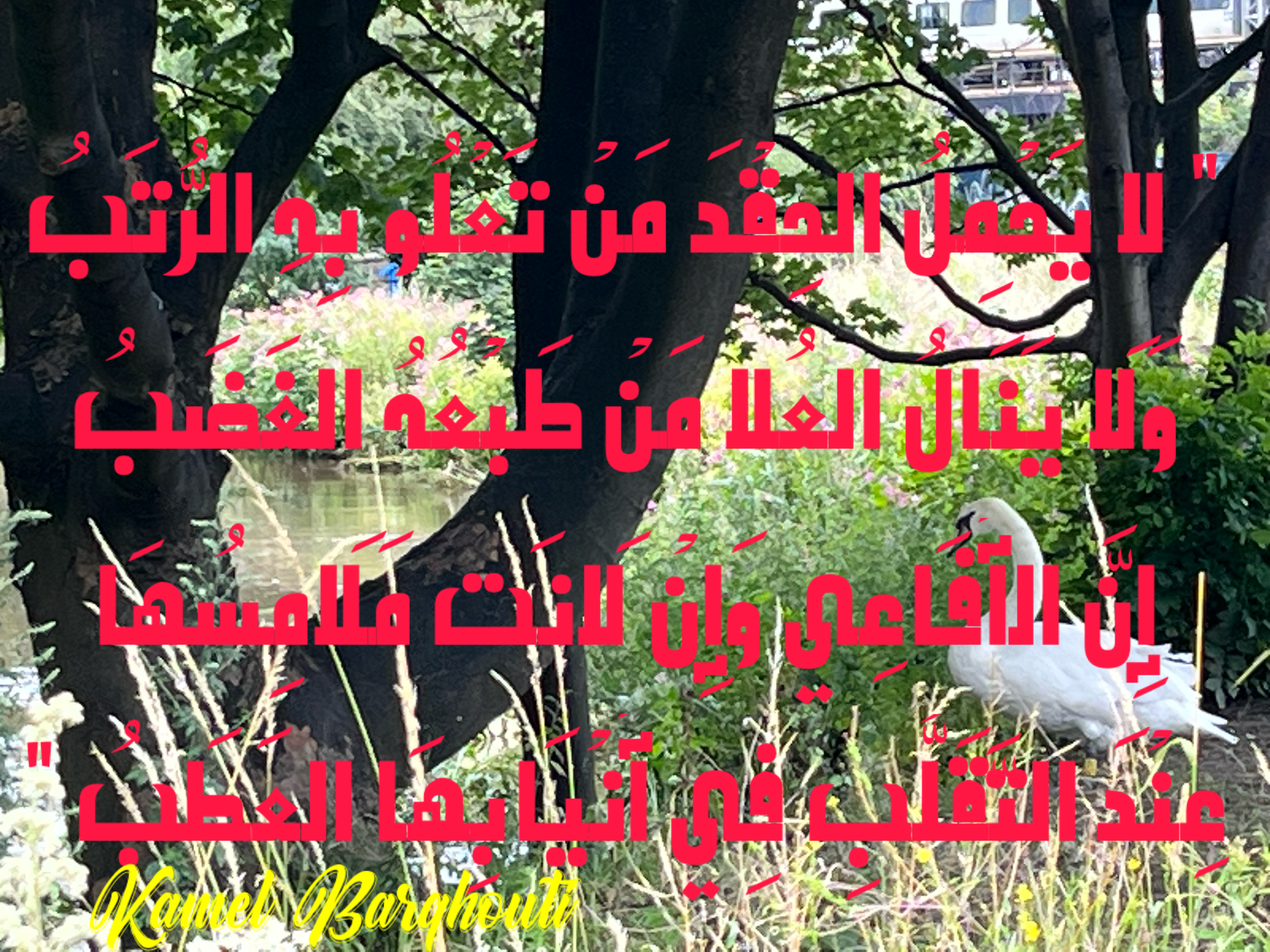 قيم إنسانية – اقتباس 19