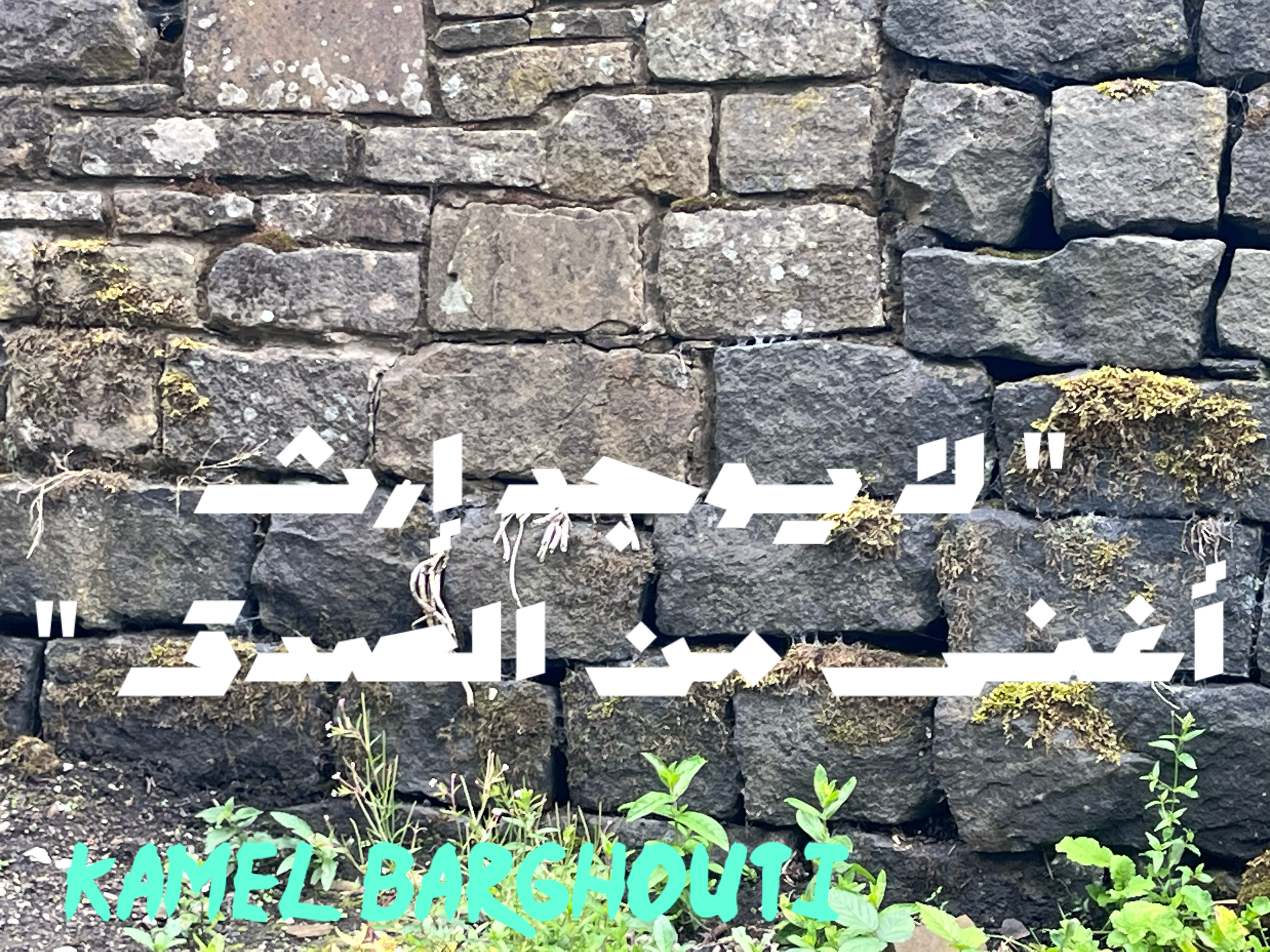 قيم إنسانية – اقتباس 13