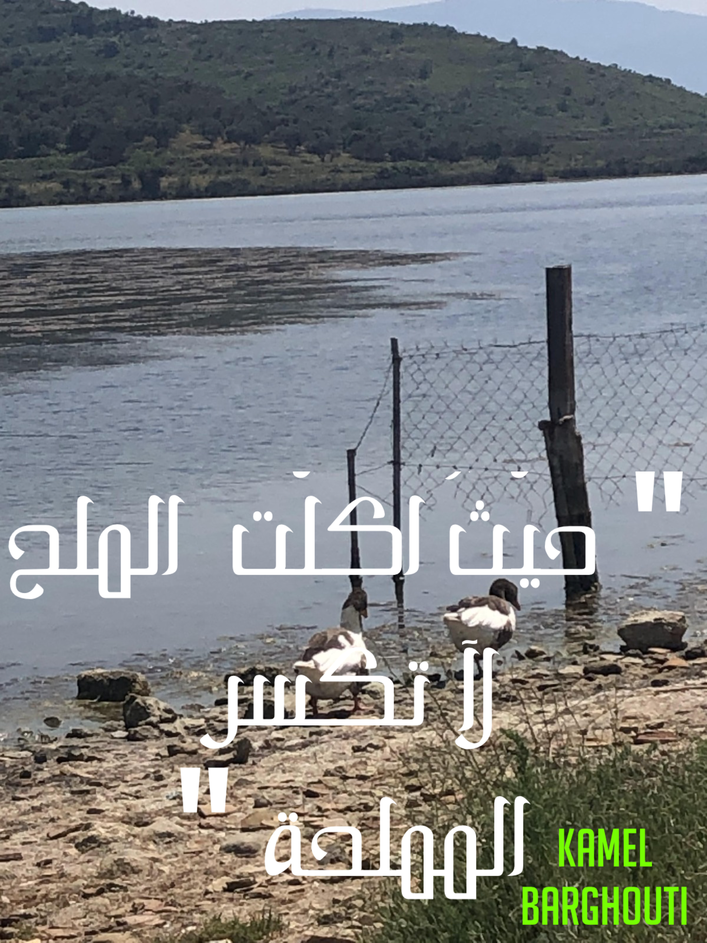 قيم إنسانية – اقتباس 4