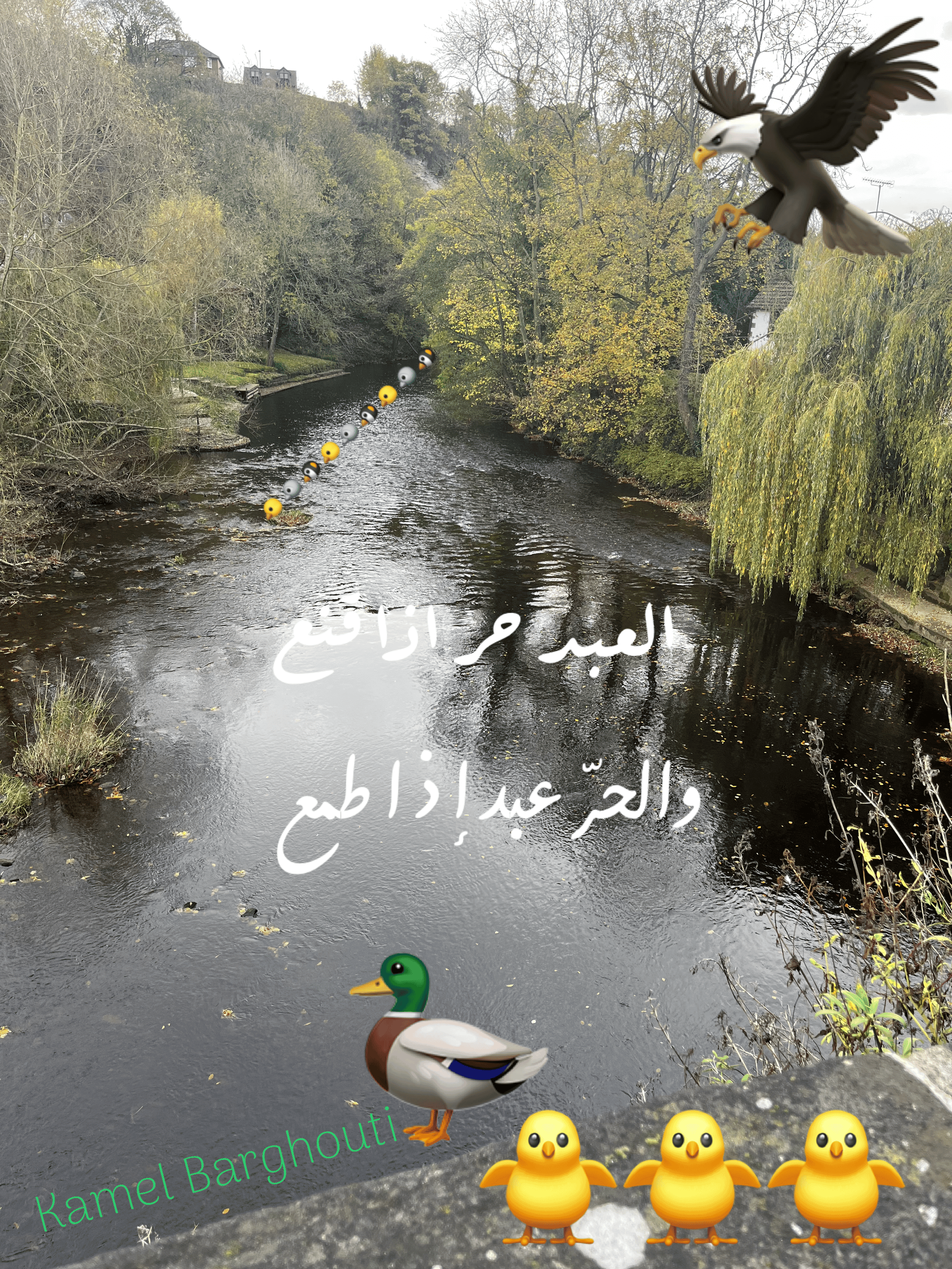 القناعة والصبر – اقتباس 127