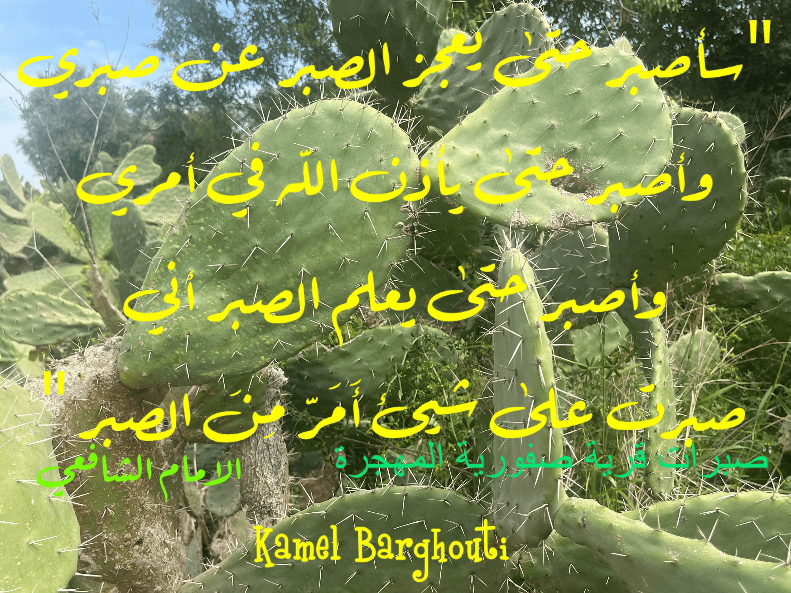 القناعة والصبر – اقتباس 118