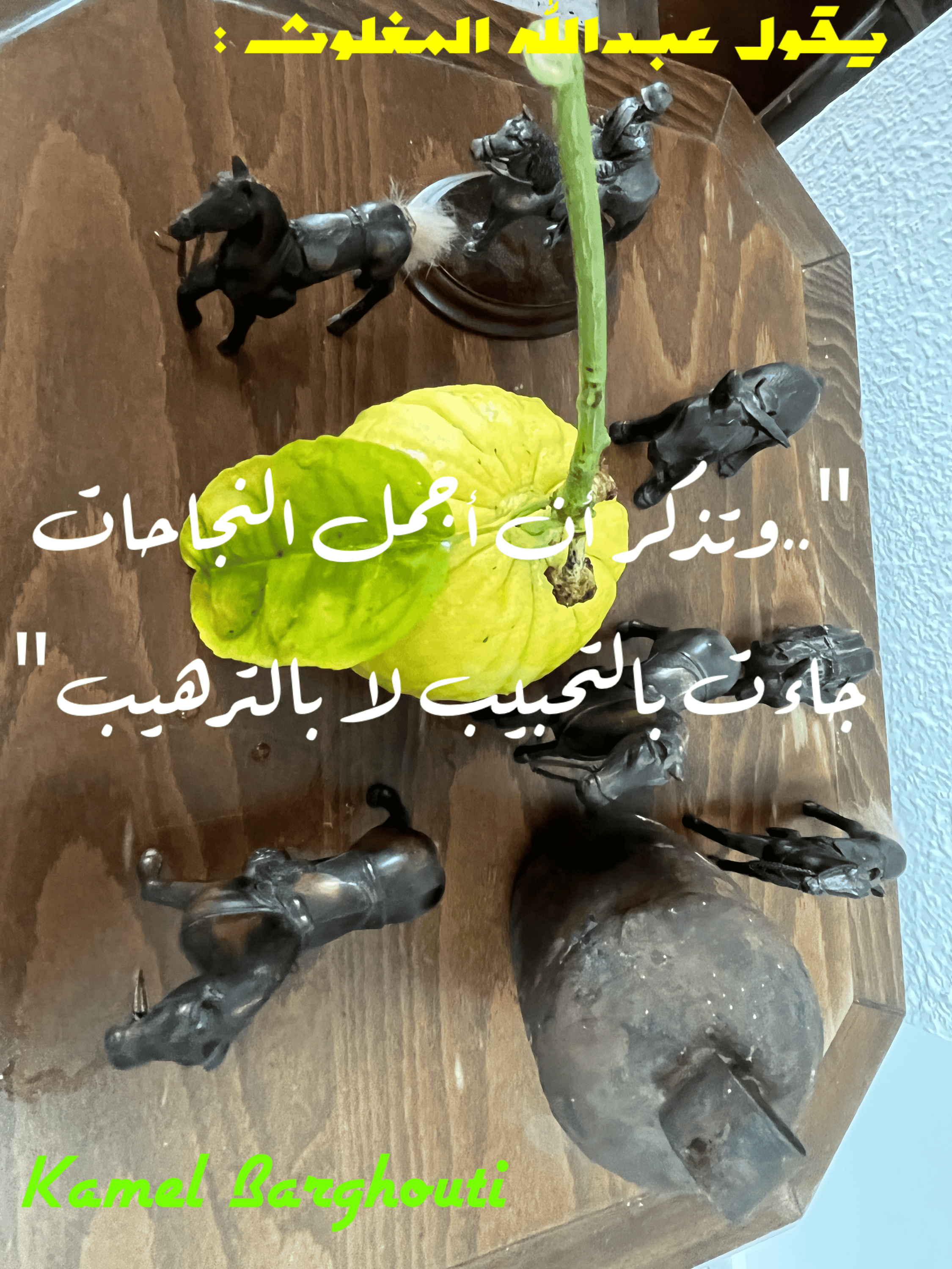 عائلة – اقتباس 11