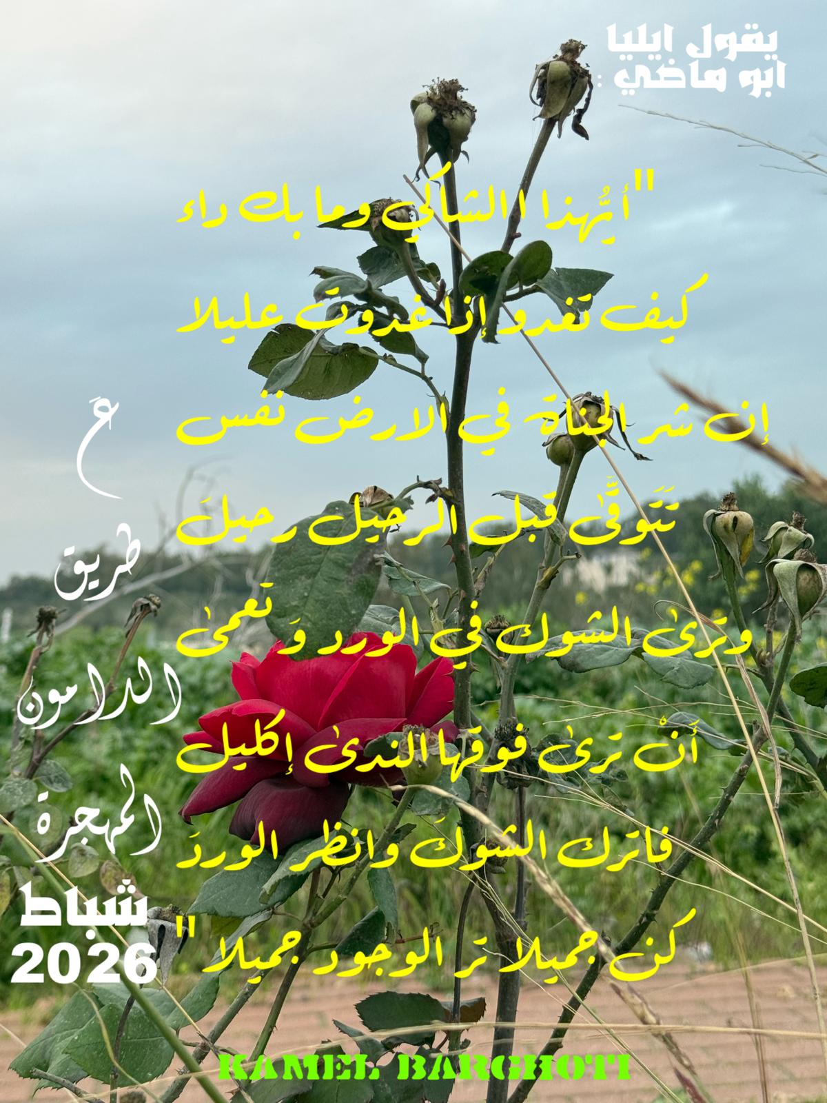 تفاؤل, أمل, وسعادة – اقتباس 344