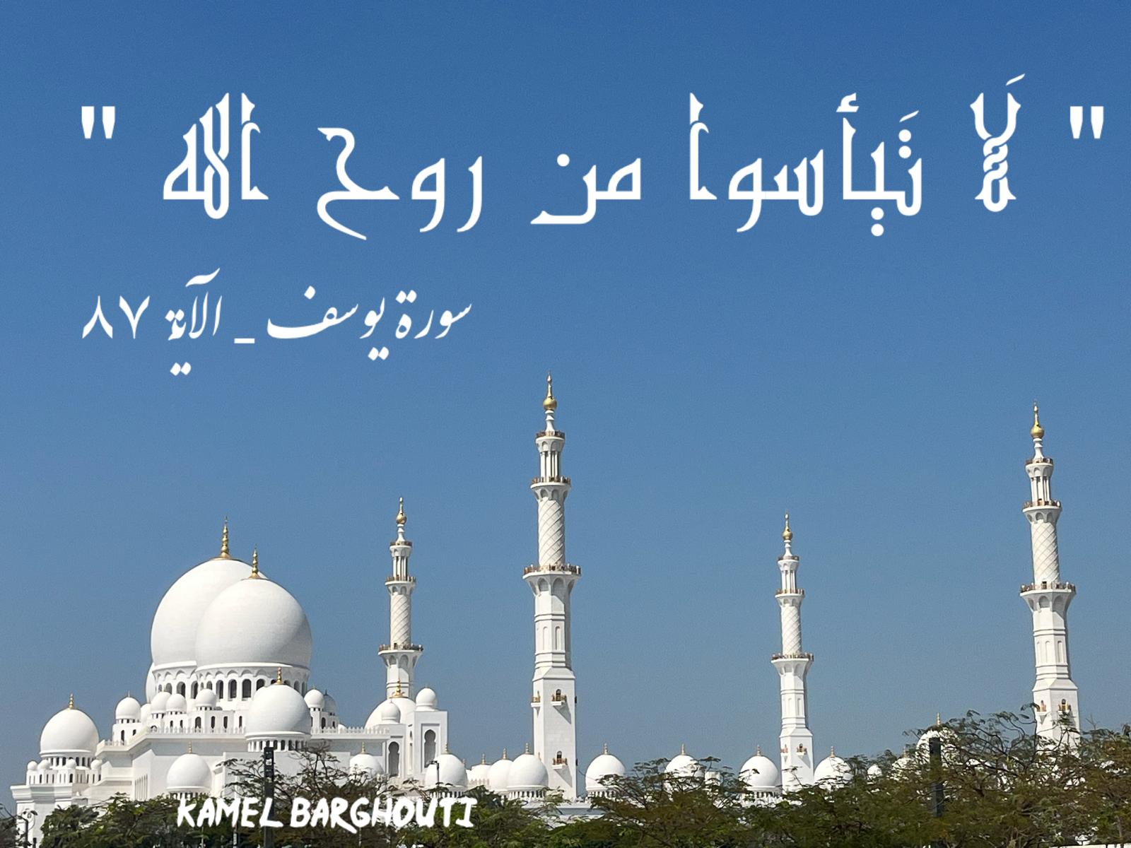 تفاؤل, أمل, وسعادة – اقتباس 356