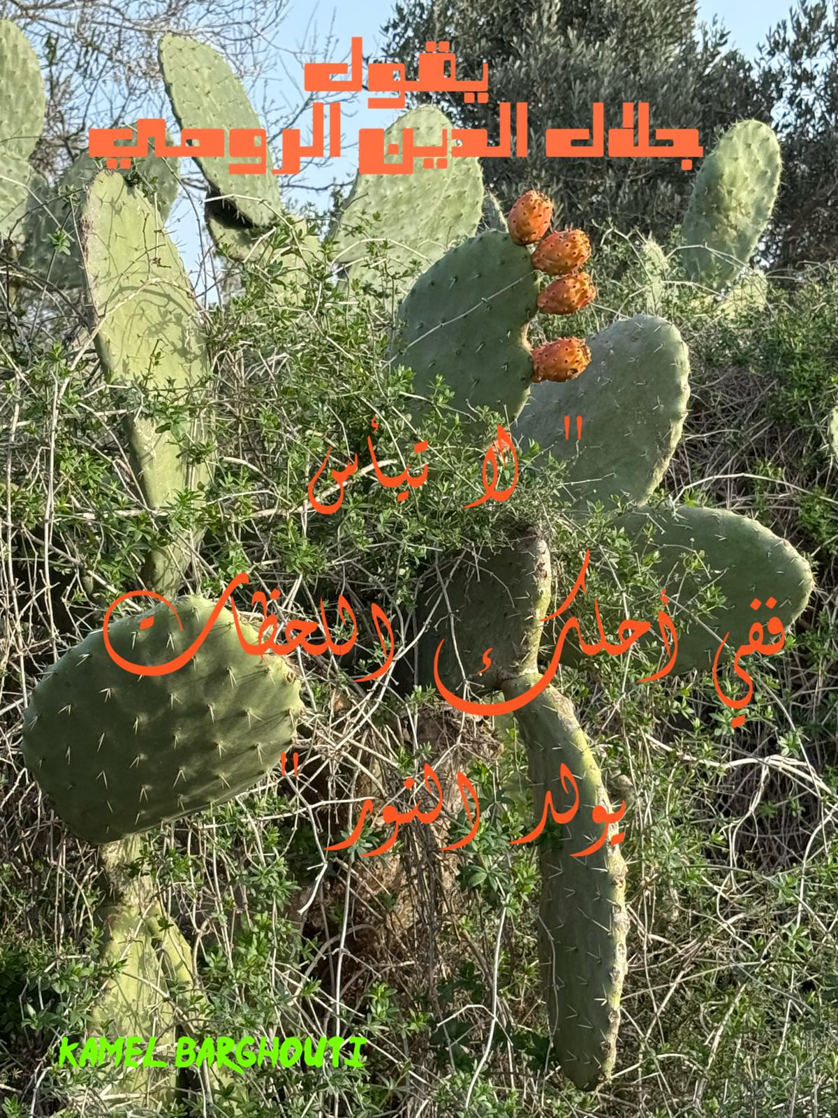 تفاؤل, أمل, وسعادة – اقتباس 346