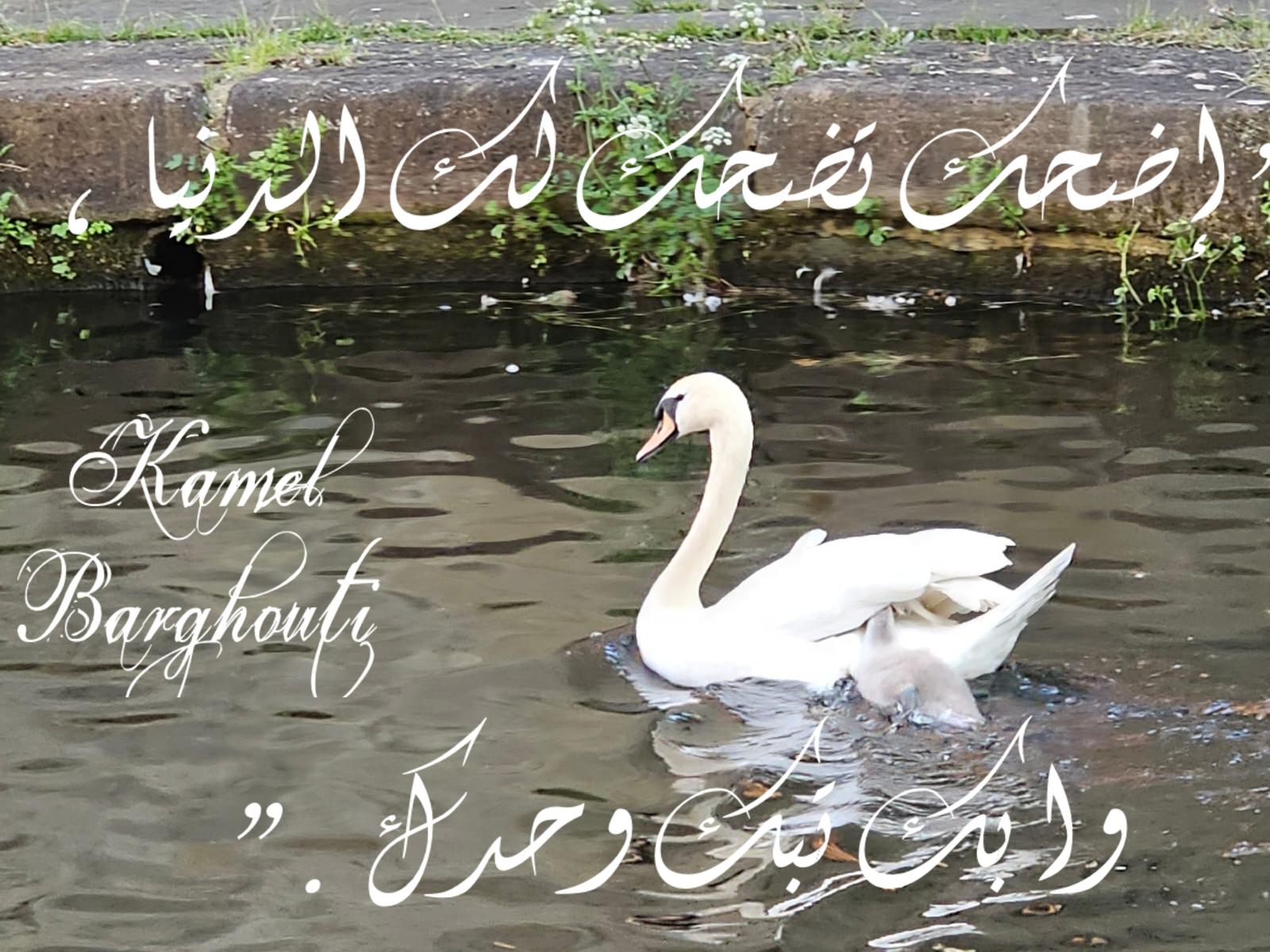 تفاؤل, أمل, وسعادة – اقتباس 348