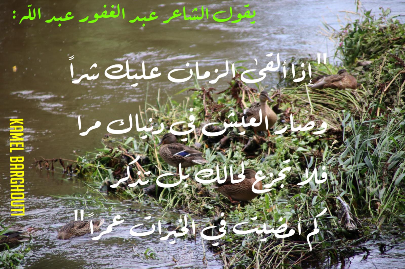 تفاؤل, أمل, وسعادة – اقتباس 349