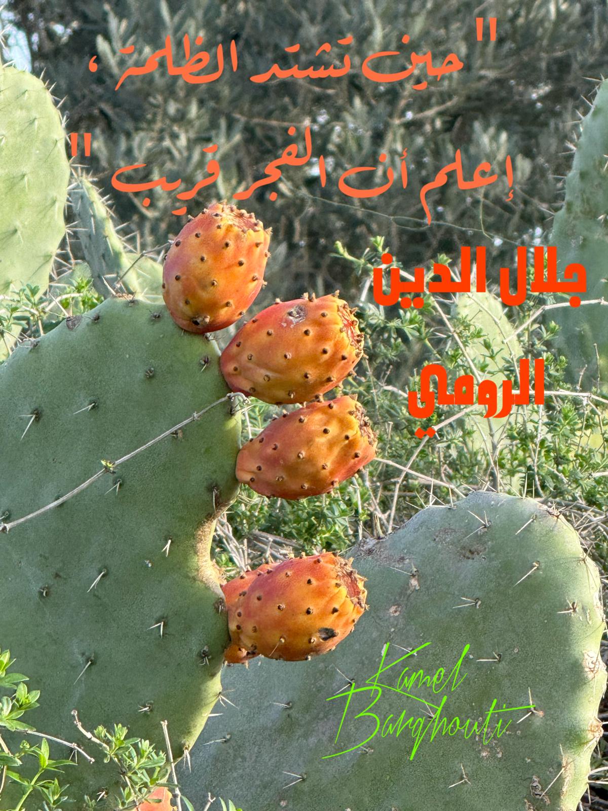 تفاؤل, أمل, وسعادة – اقتباس 347