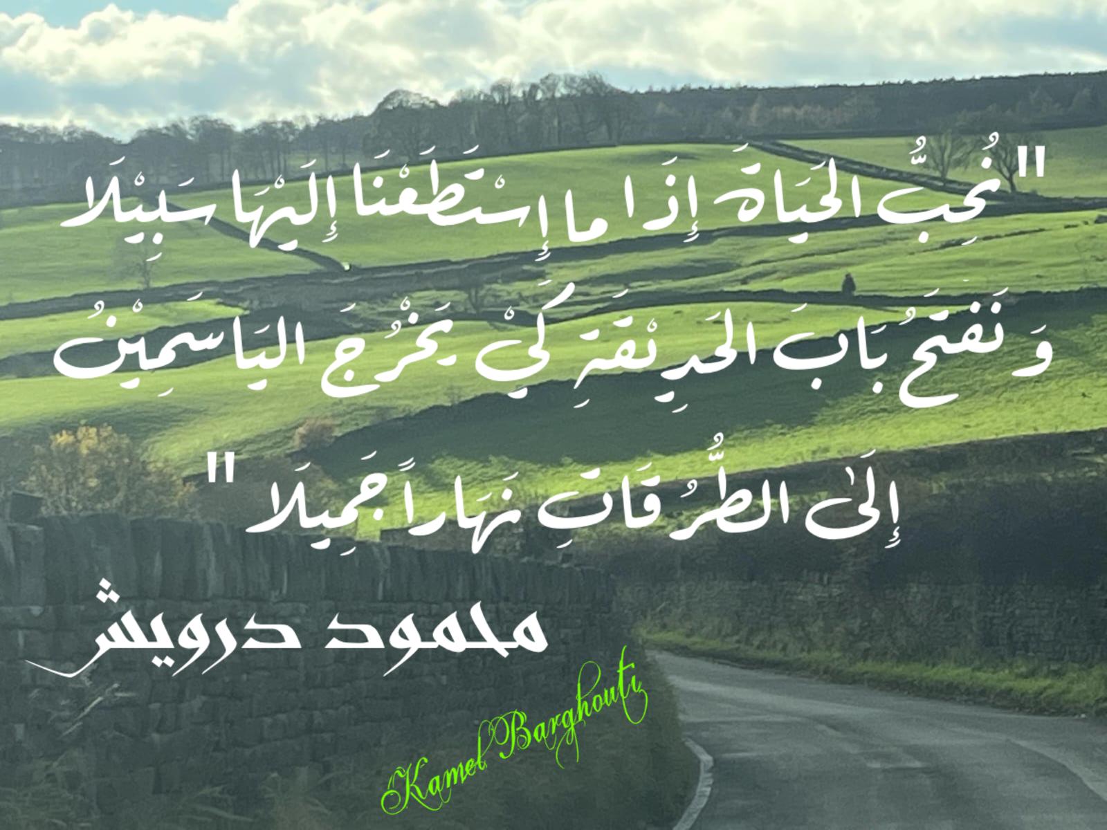 تفاؤل, أمل, وسعادة – اقتباس 351