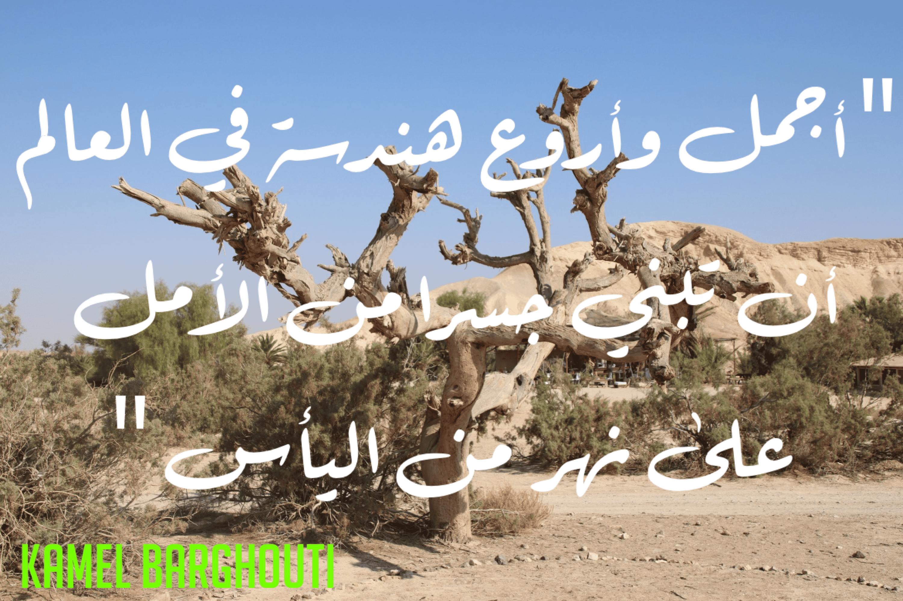 تفاؤل, أمل, وسعادة – اقتباس 333