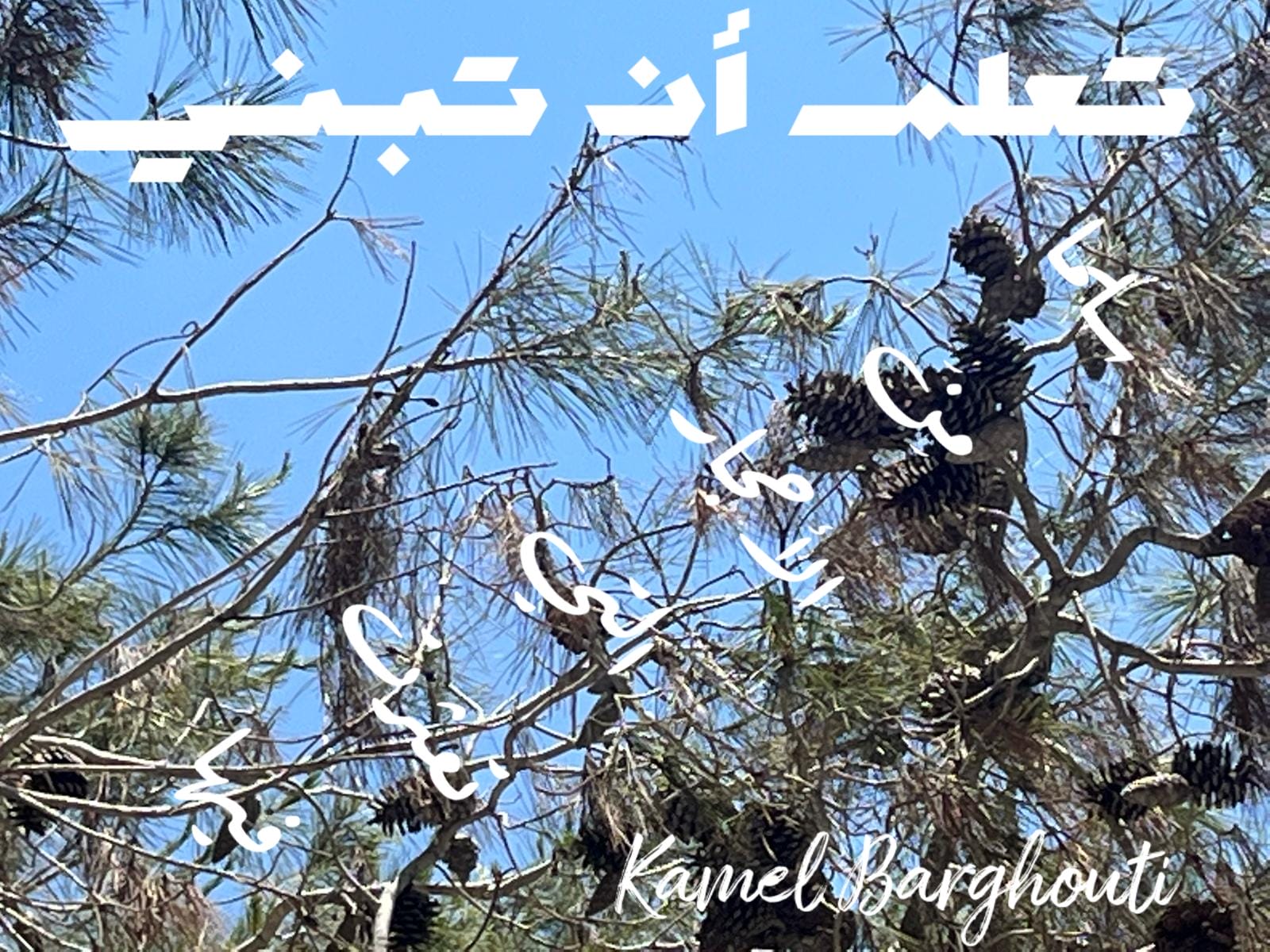 تفاؤل, أمل, وسعادة – اقتباس 329