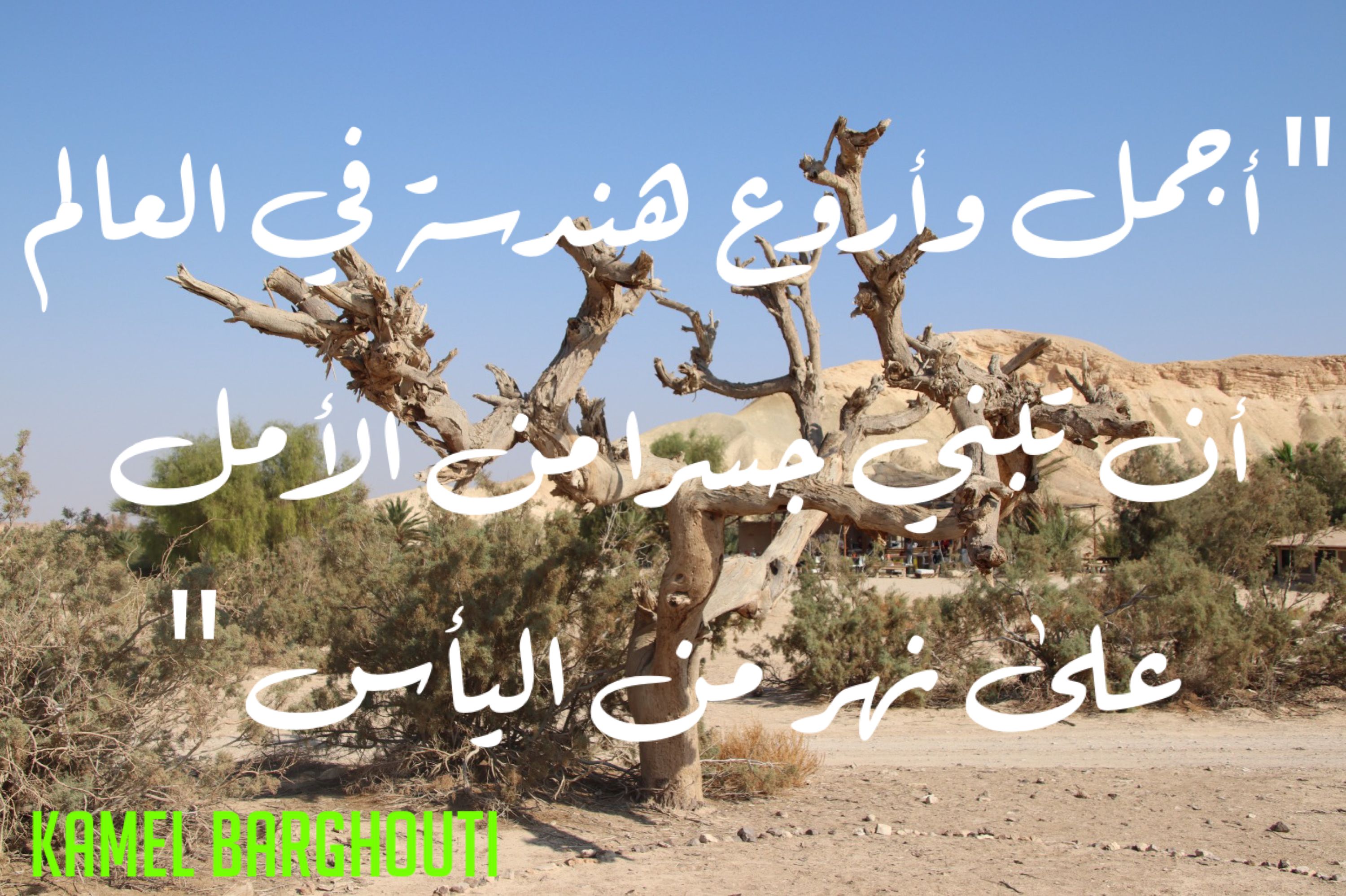 تفاؤل, أمل, وسعادة – اقتباس 332