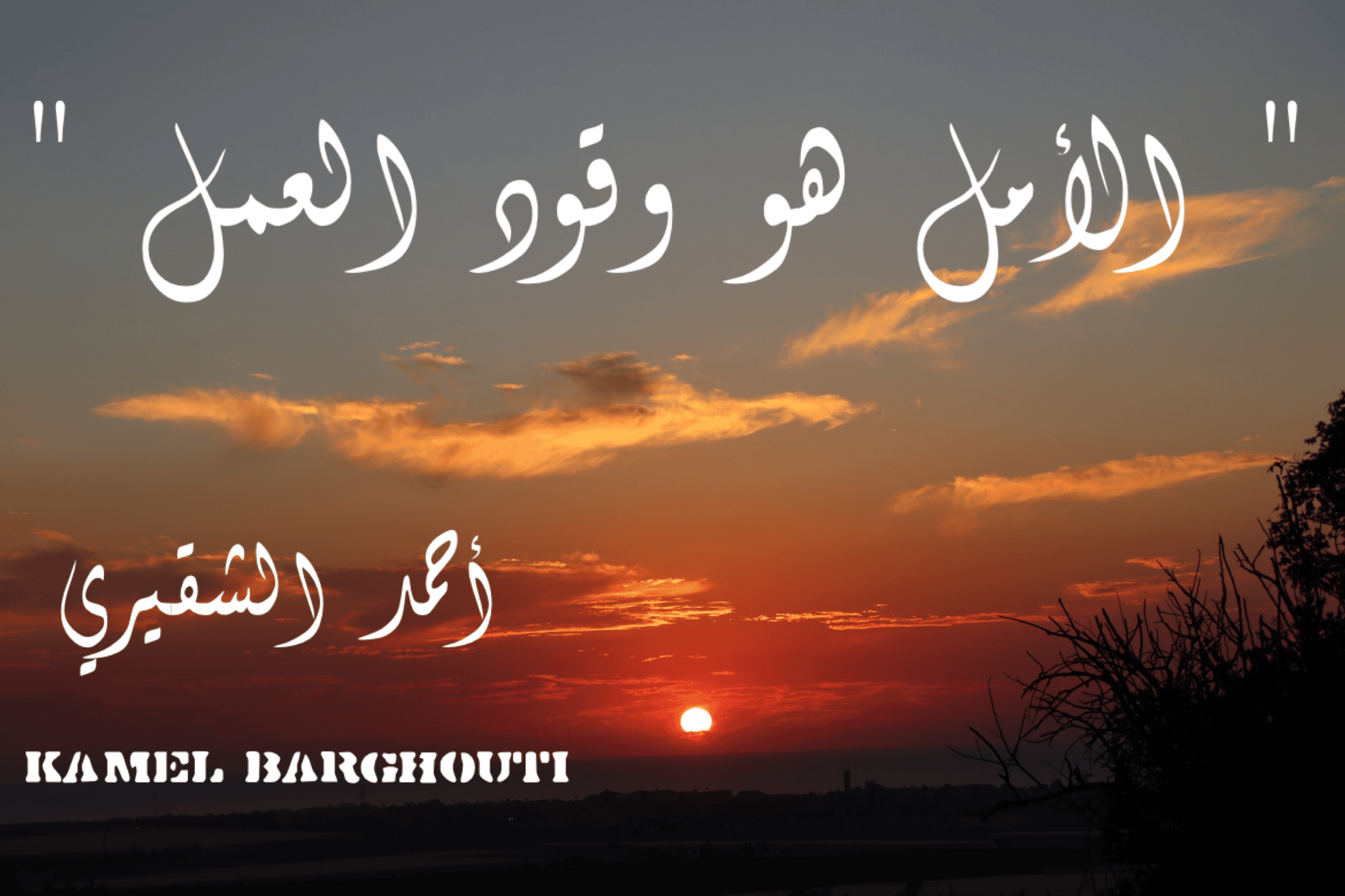 تفاؤل, أمل, وسعادة – اقتباس 315