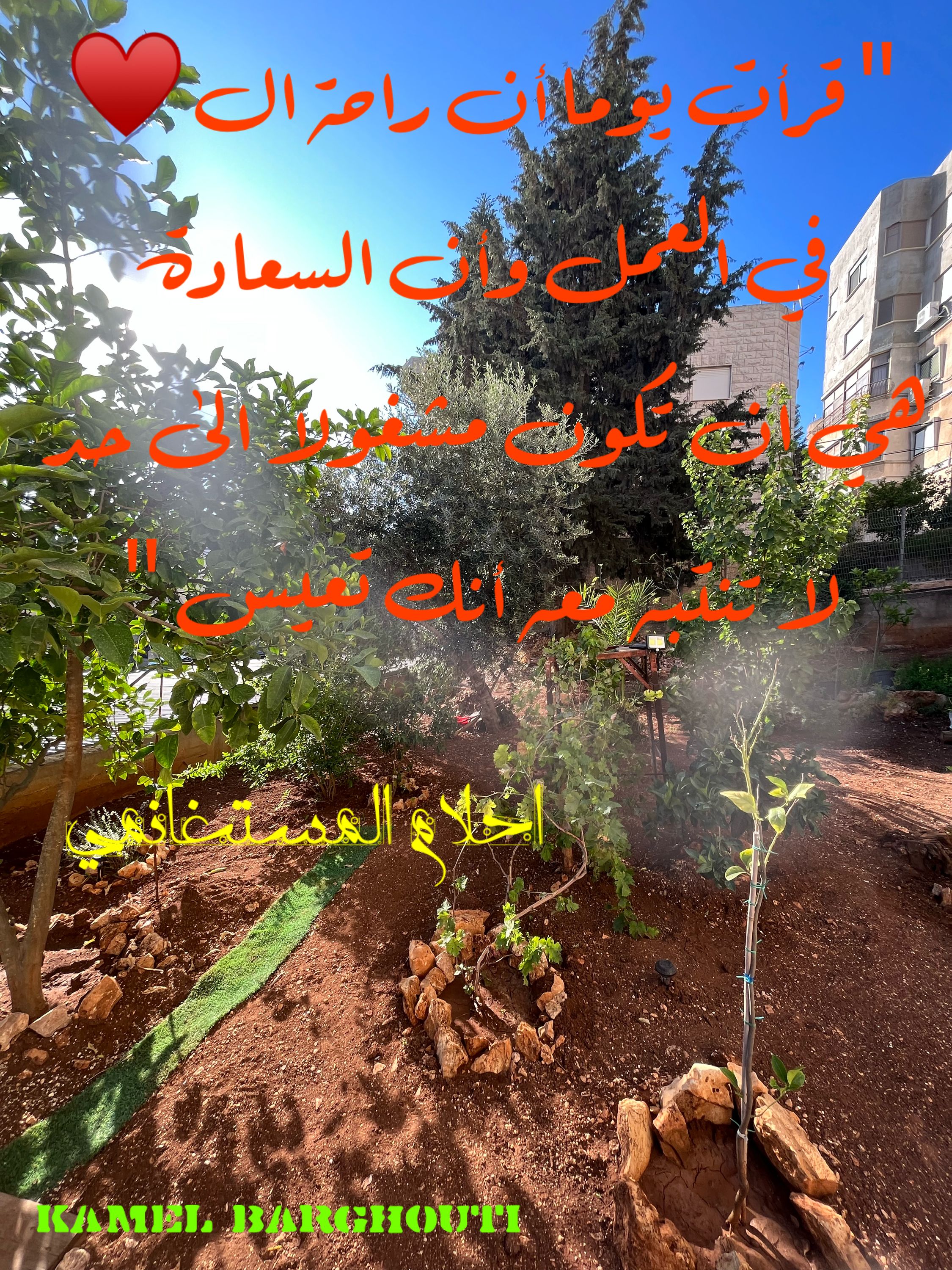 تفاؤل, أمل, وسعادة – اقتباس 308