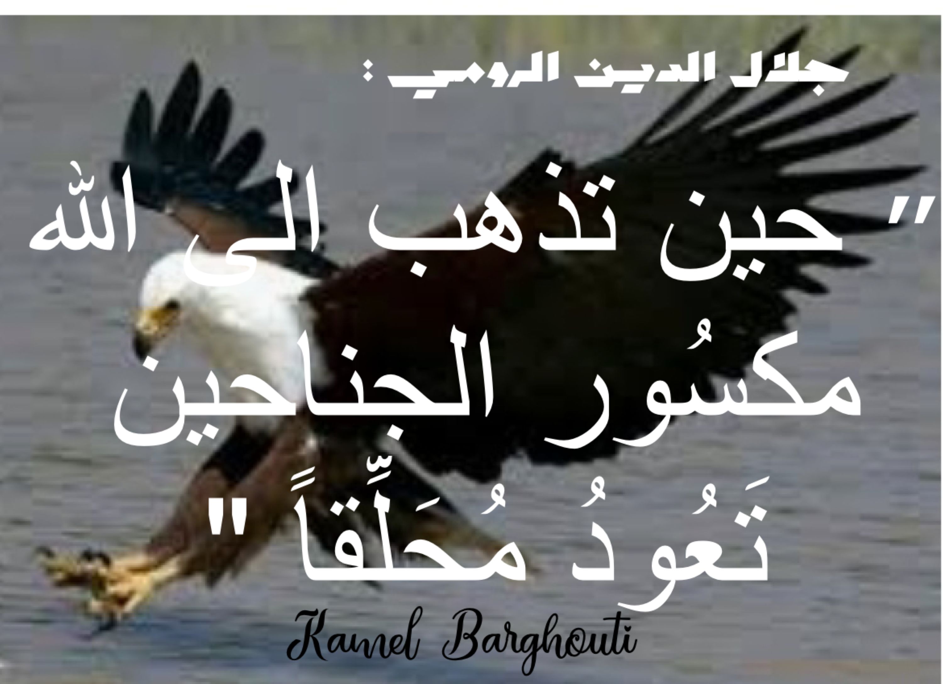 تفاؤل, أمل, وسعادة – اقتباس 310