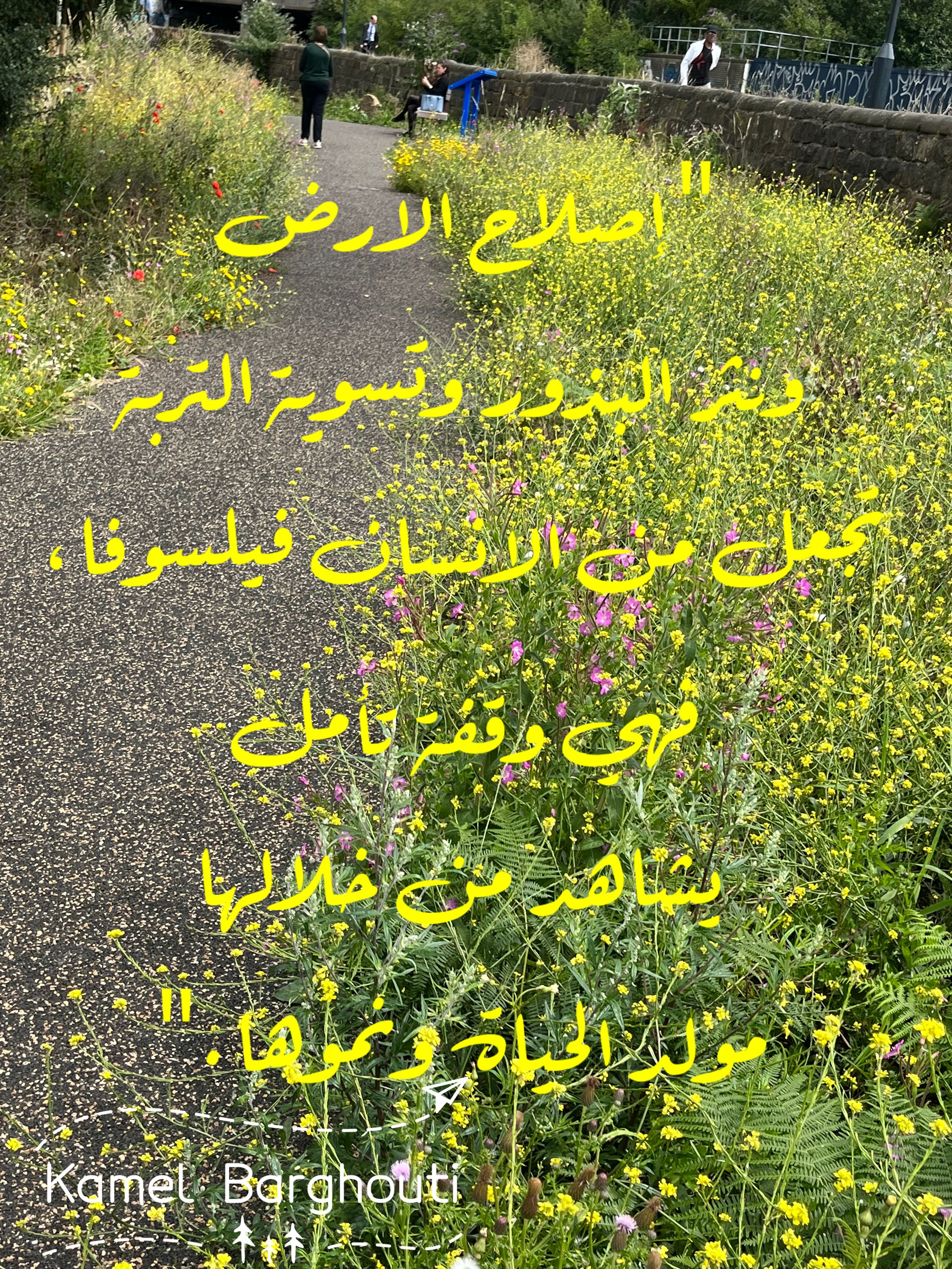 تفاؤل, أمل, وسعادة – اقتباس 313