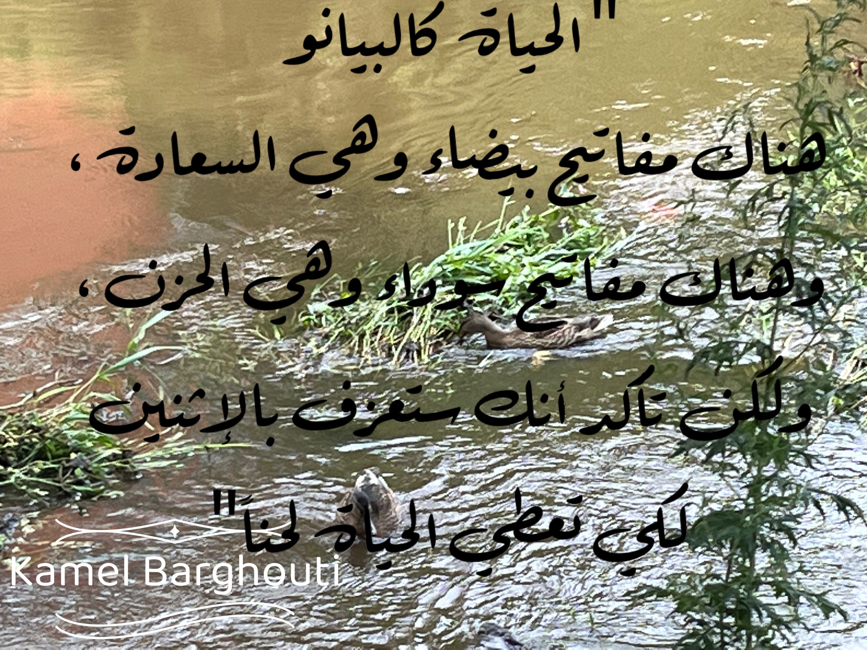 تفاؤل, أمل, وسعادة – اقتباس 302
