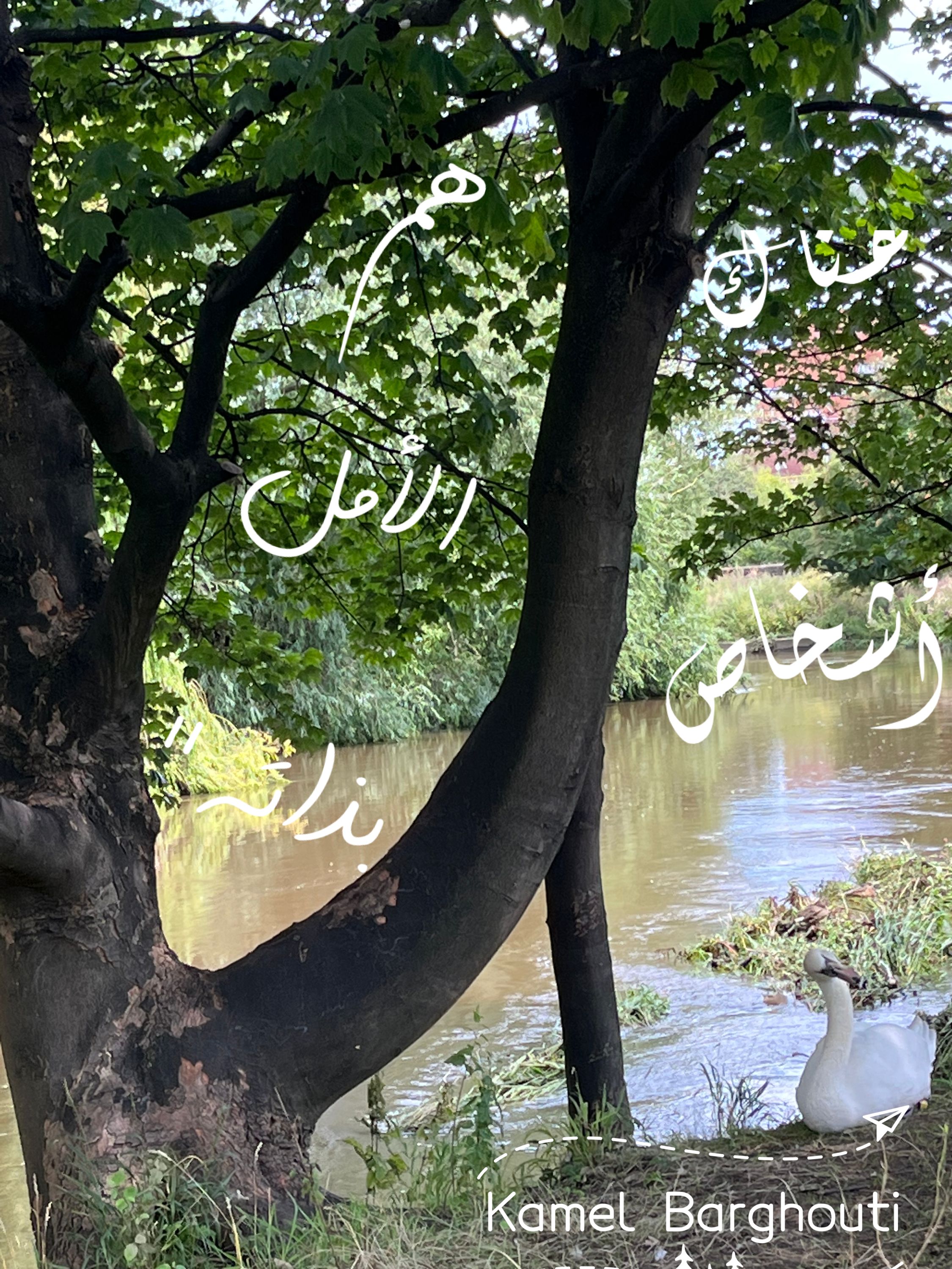 تفاؤل, أمل, وسعادة – اقتباس 305
