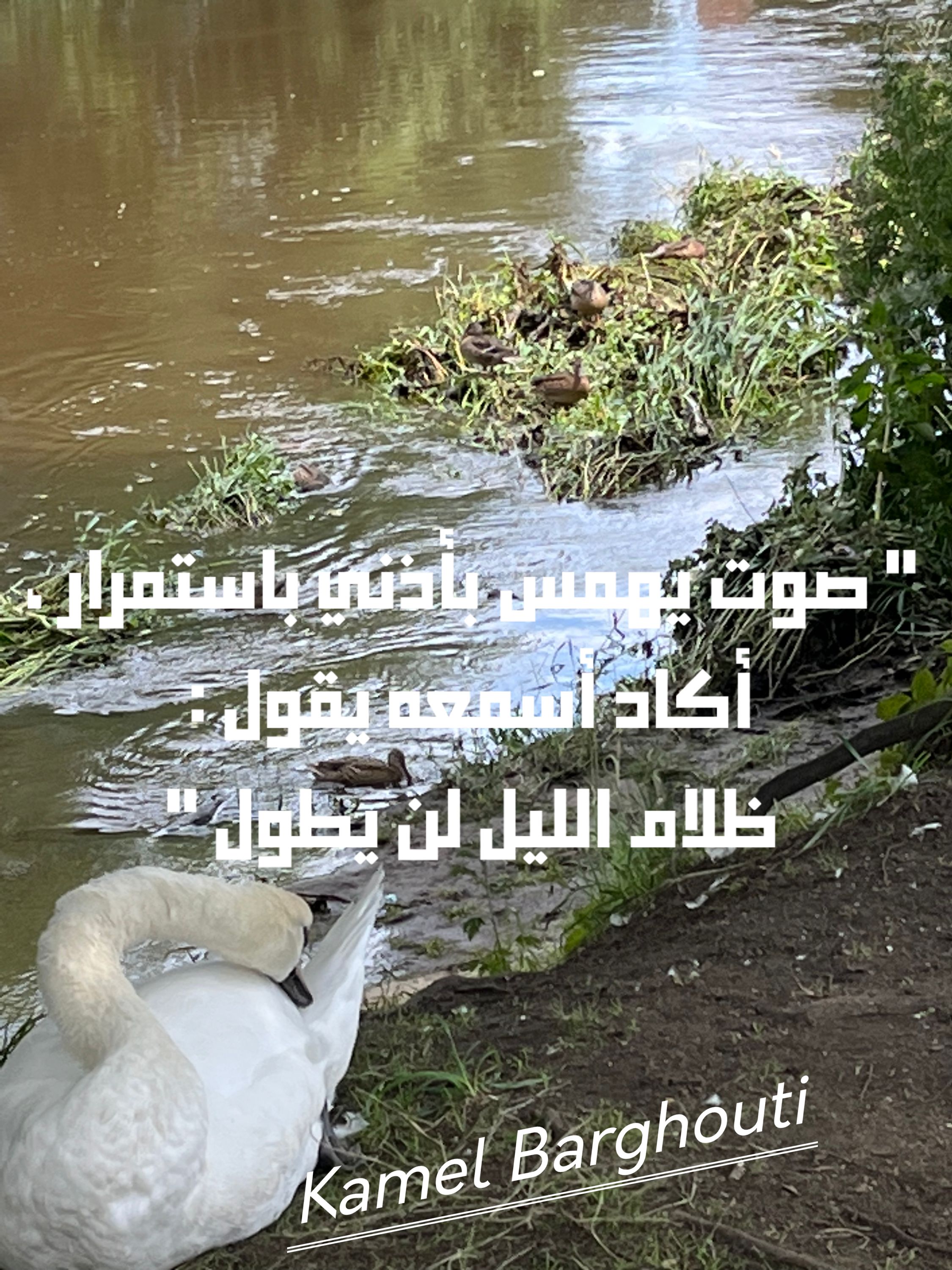 تفاؤل, أمل, وسعادة – اقتباس 304