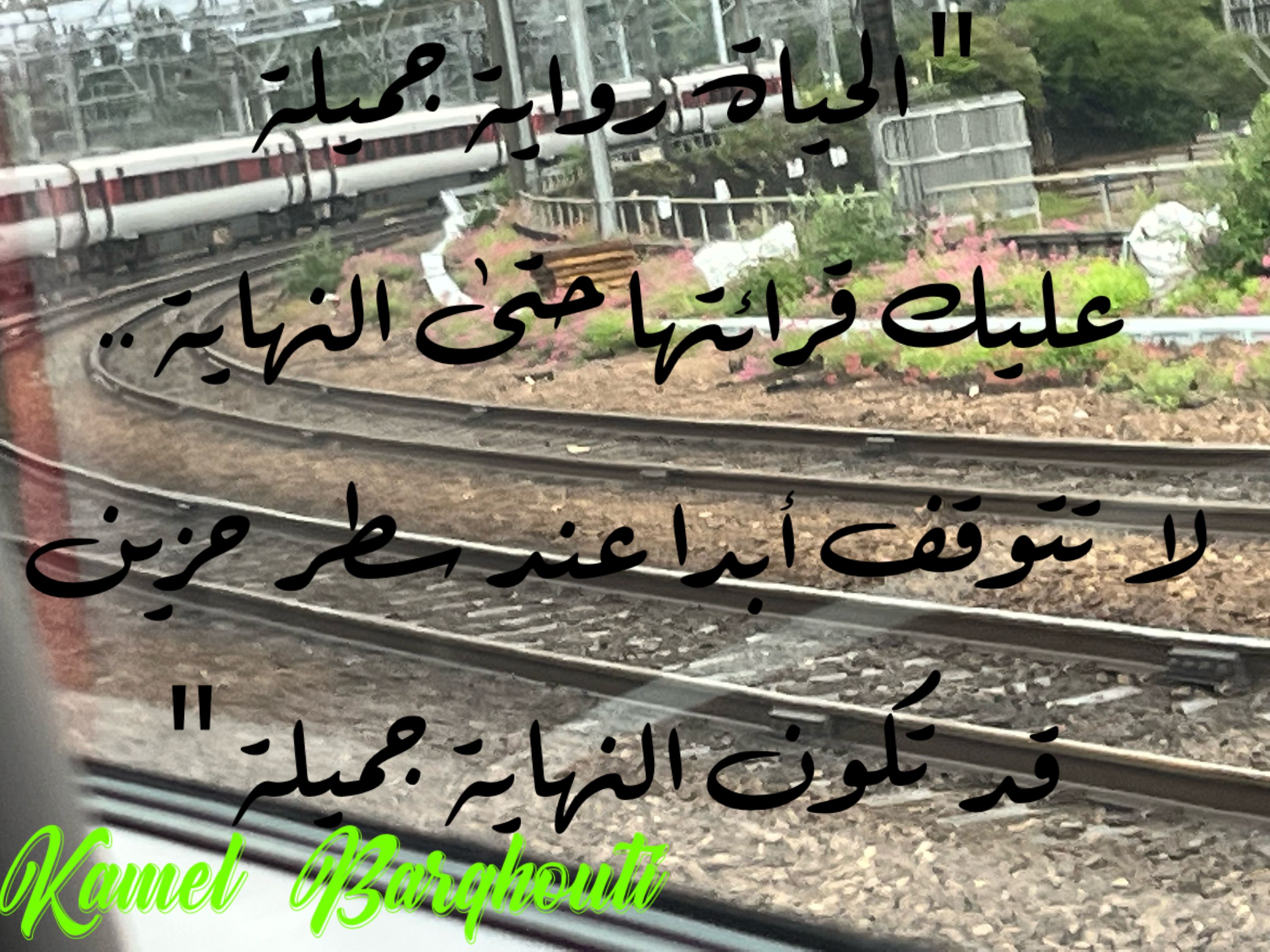 تفاؤل, أمل, وسعادة – اقتباس 297