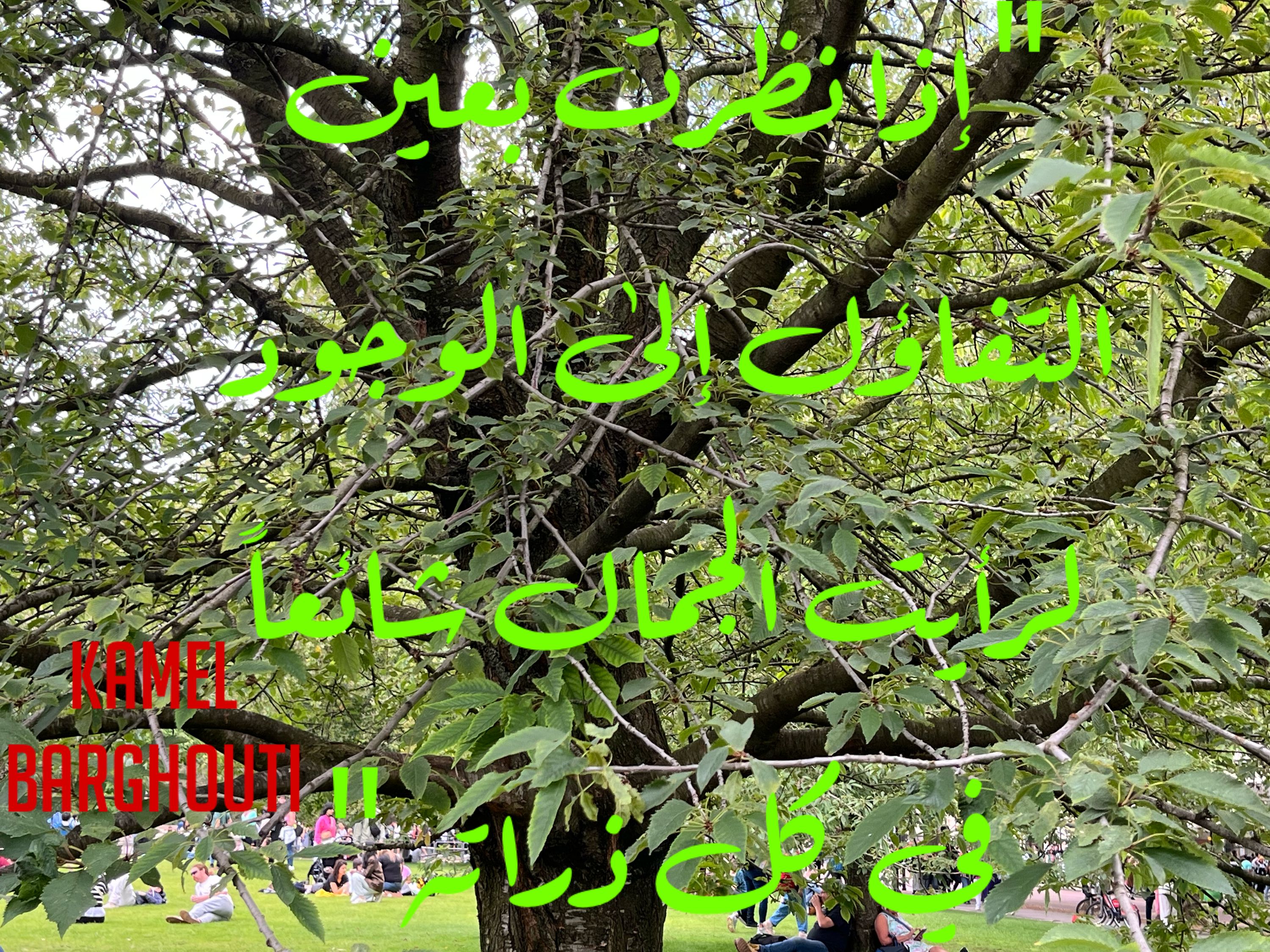 تفاؤل, أمل, وسعادة – اقتباس 282