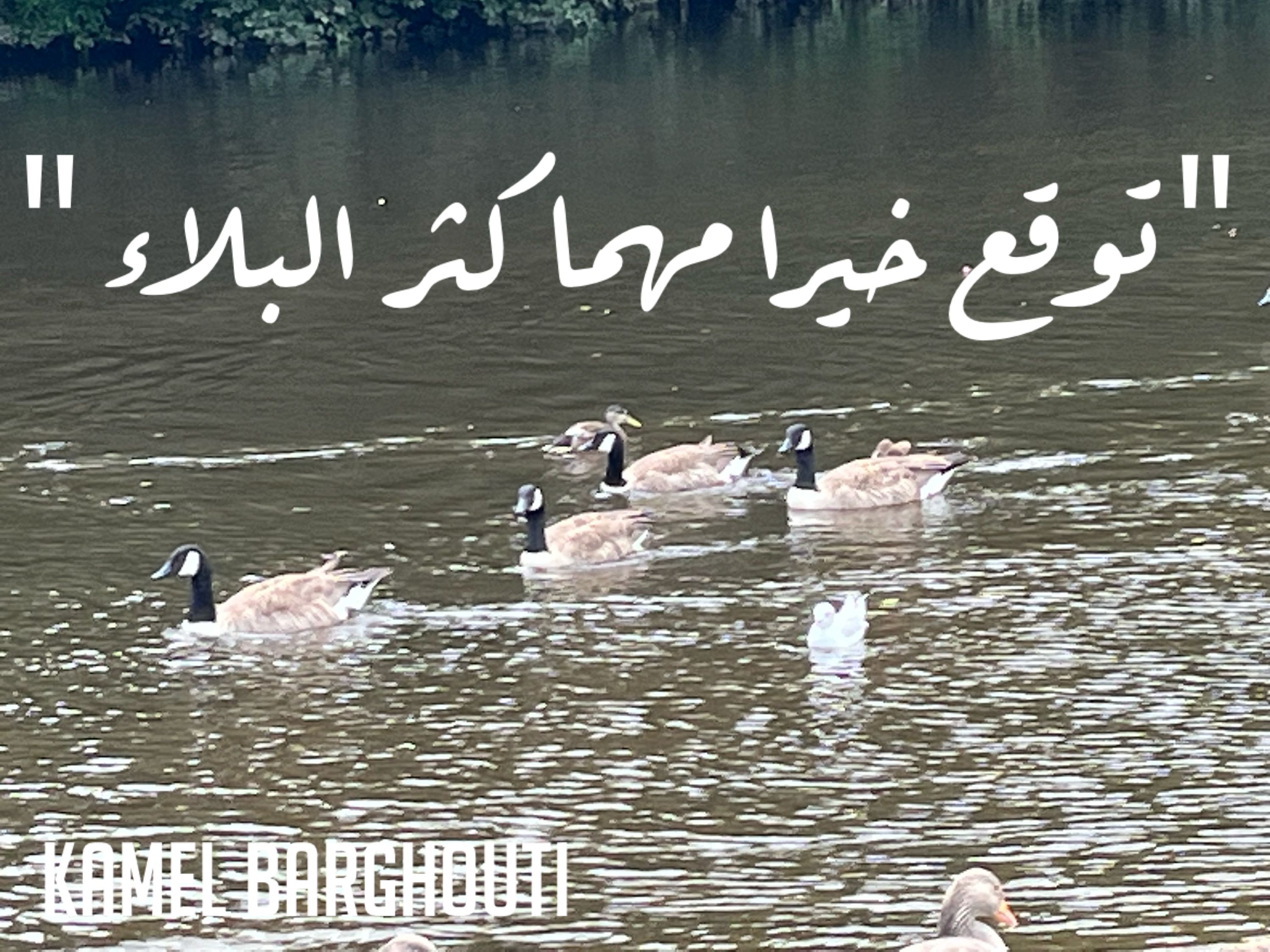 تفاؤل, أمل, وسعادة – اقتباس 296