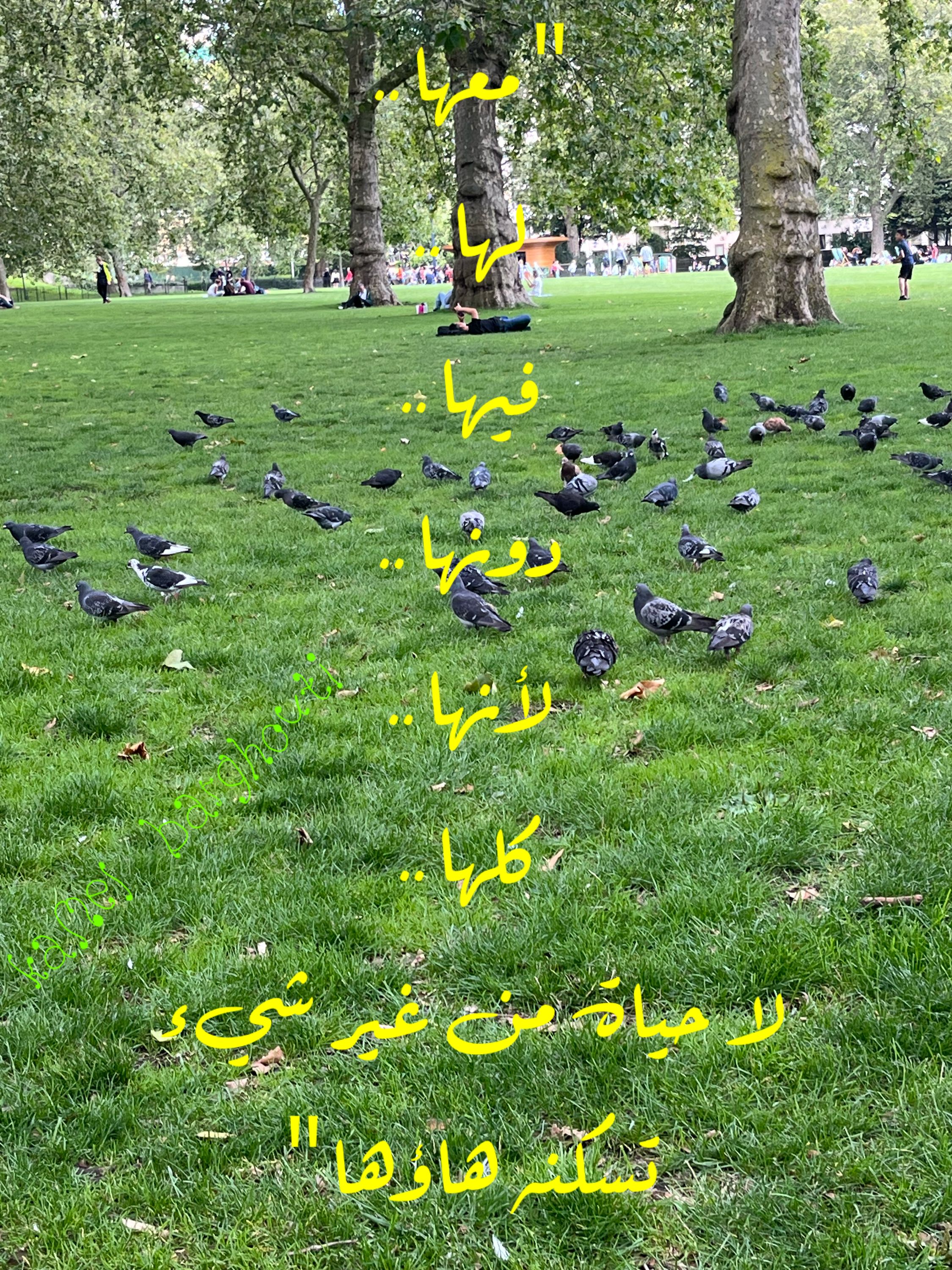 تفاؤل, أمل, وسعادة – اقتباس 287