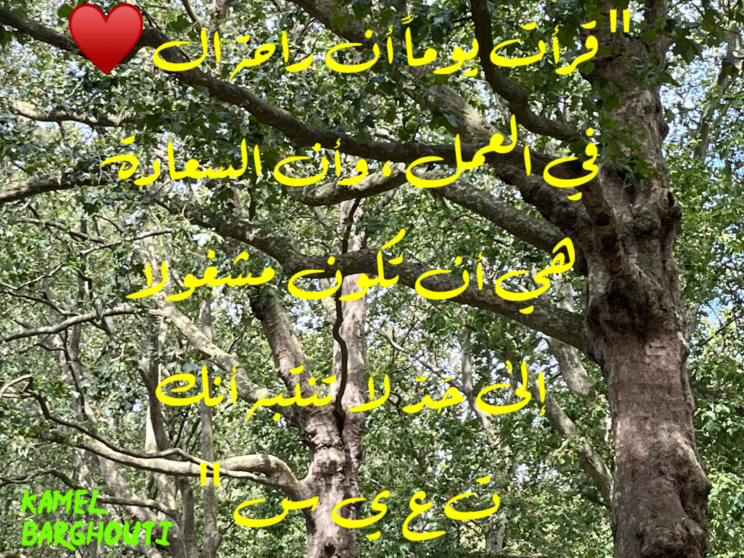 تفاؤل, أمل, وسعادة – اقتباس 279