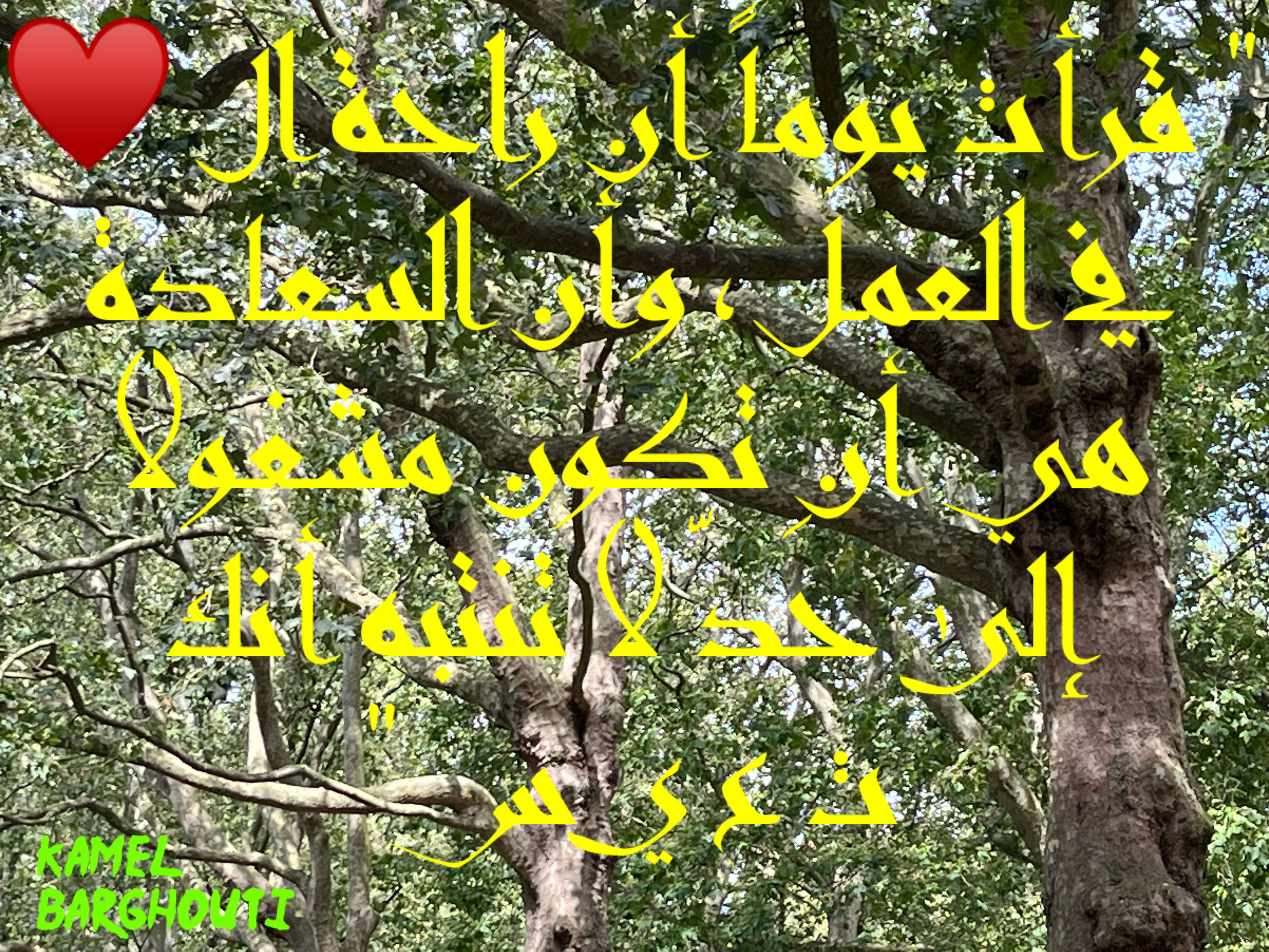 تفاؤل, أمل, وسعادة – اقتباس 278