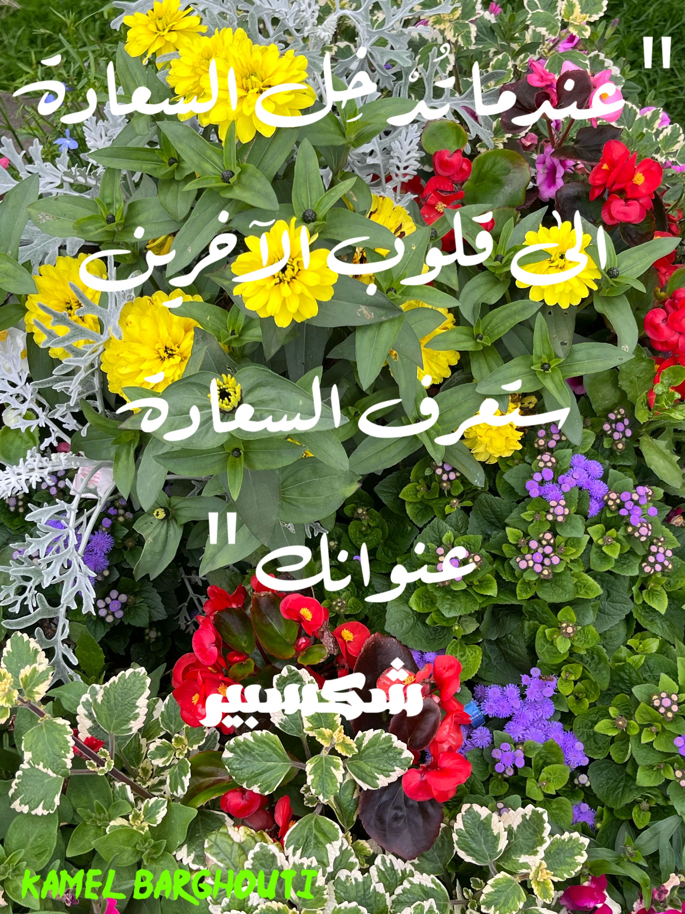 تفاؤل, أمل, وسعادة – اقتباس 271