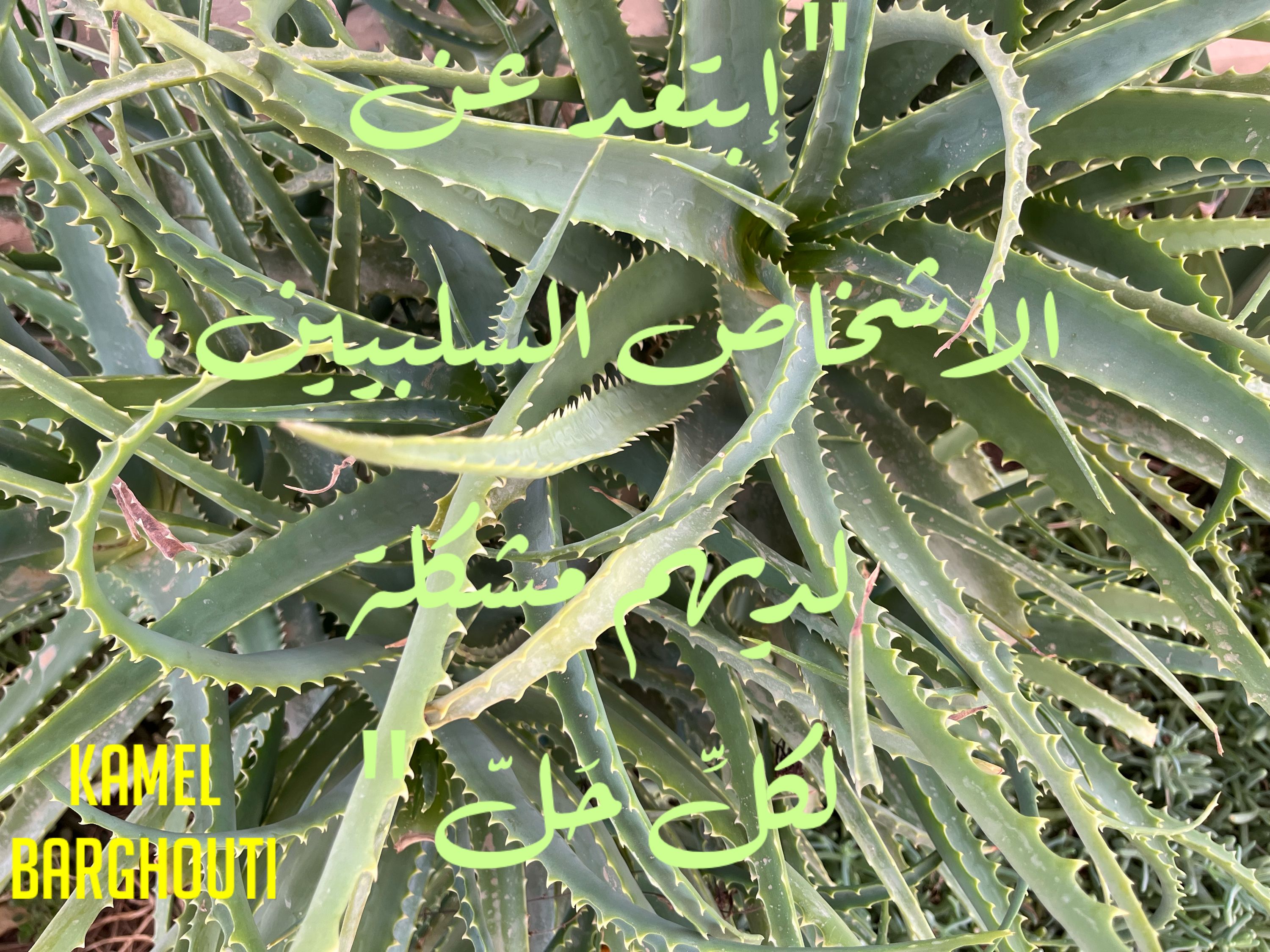 تفاؤل, أمل, وسعادة – اقتباس 248